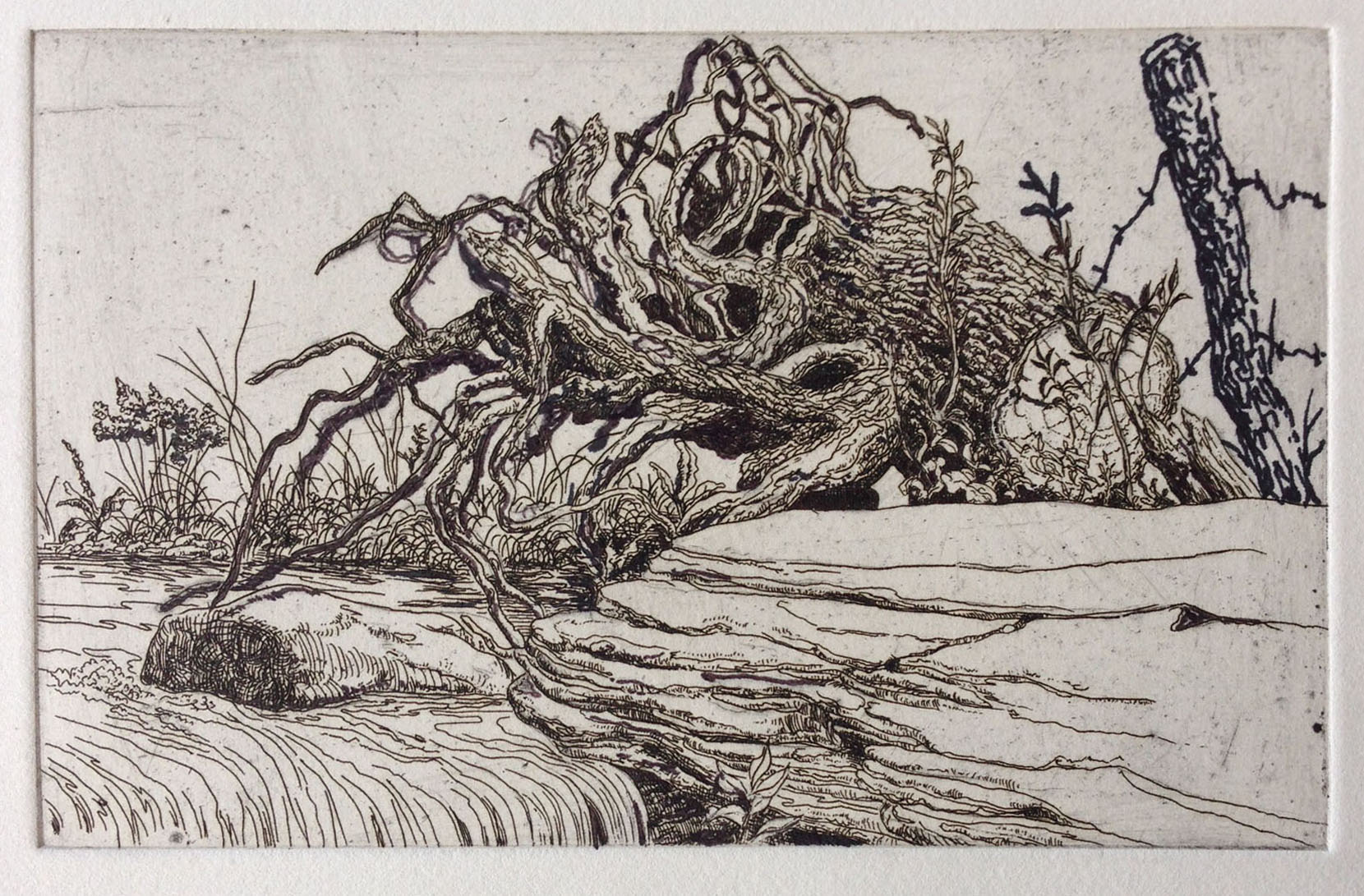 Developing his composition, Jack has drawn in ink a fence post and barbed wire, to a first stage proof. The aquatints will be added at a later stage.