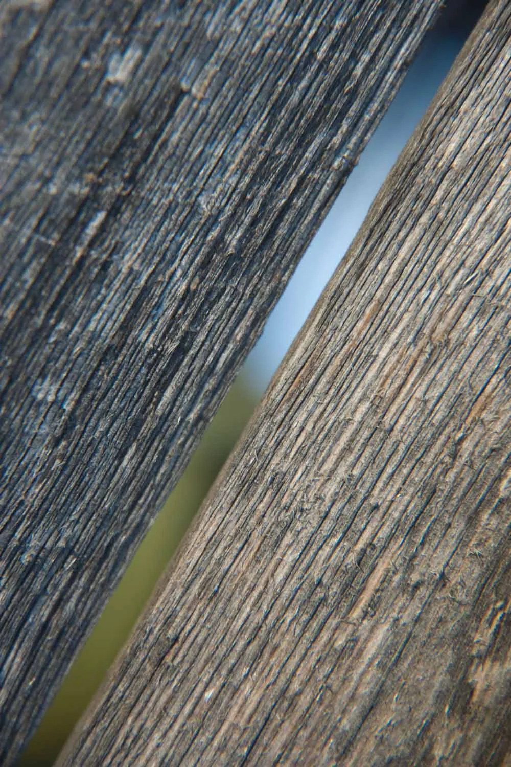 richpagen.pattern.4x6-2367.jpg