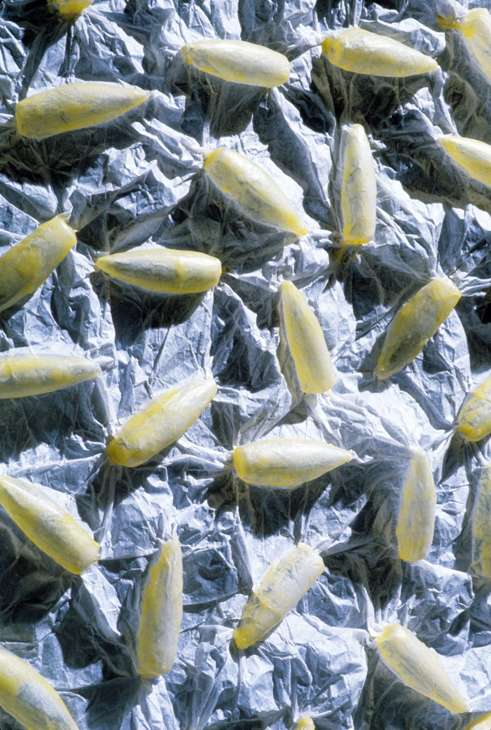 Bullet Cloth II (detail)