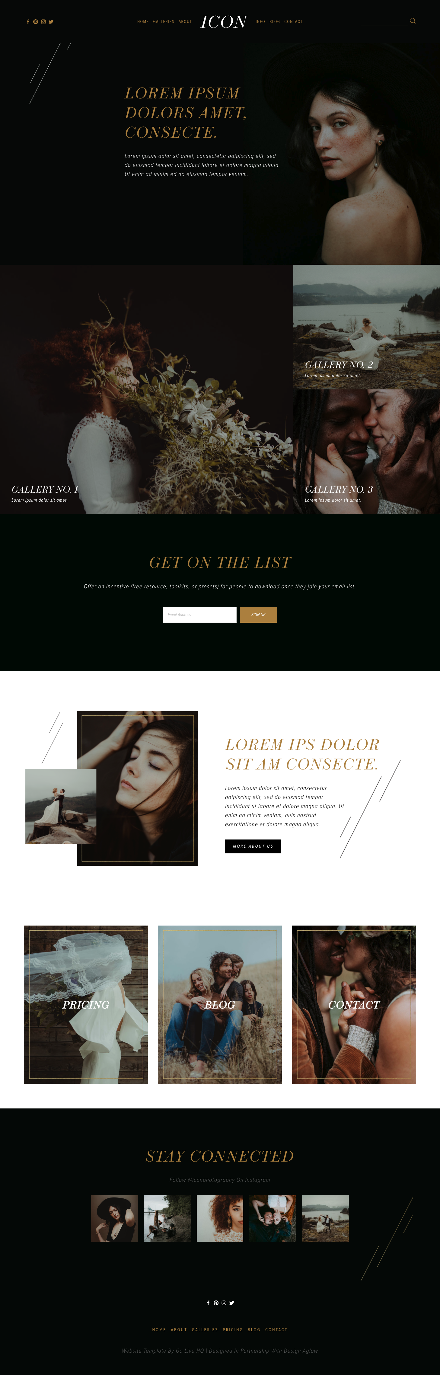 screencapture-goliveicon-squarespace-2019-02-07-22_42_59.png