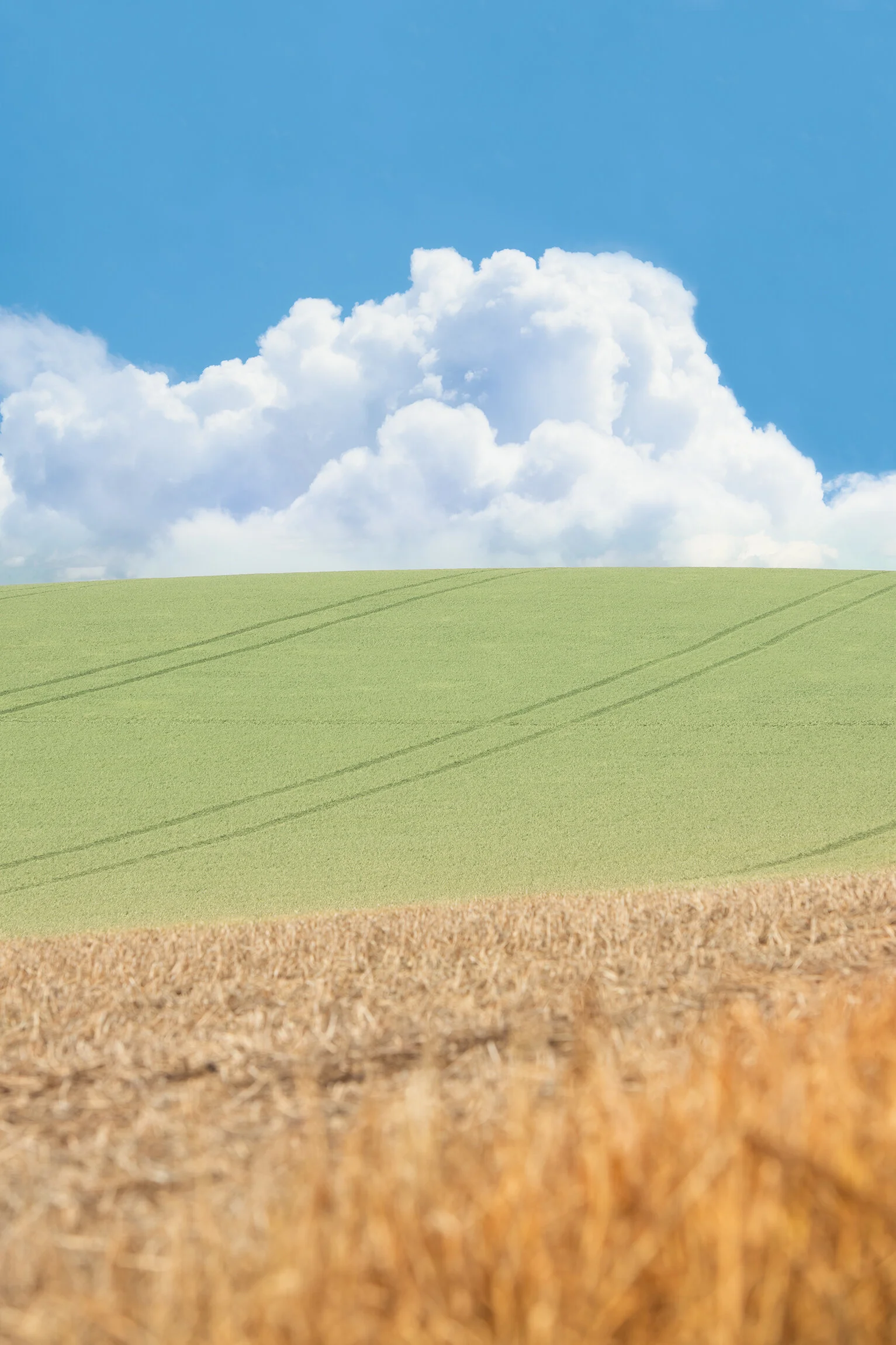 massivecloudISFINISHEDTHISONE.jpg