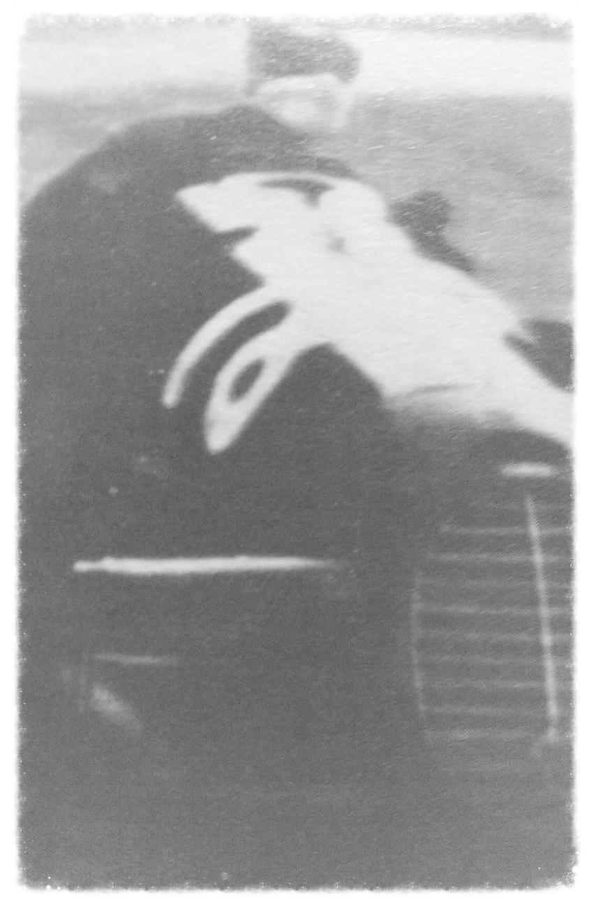 Nuvolar the bandit: but he didn't even have time to steal