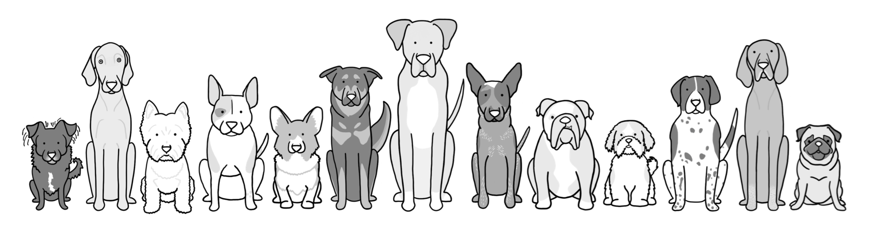 all dog kind.png