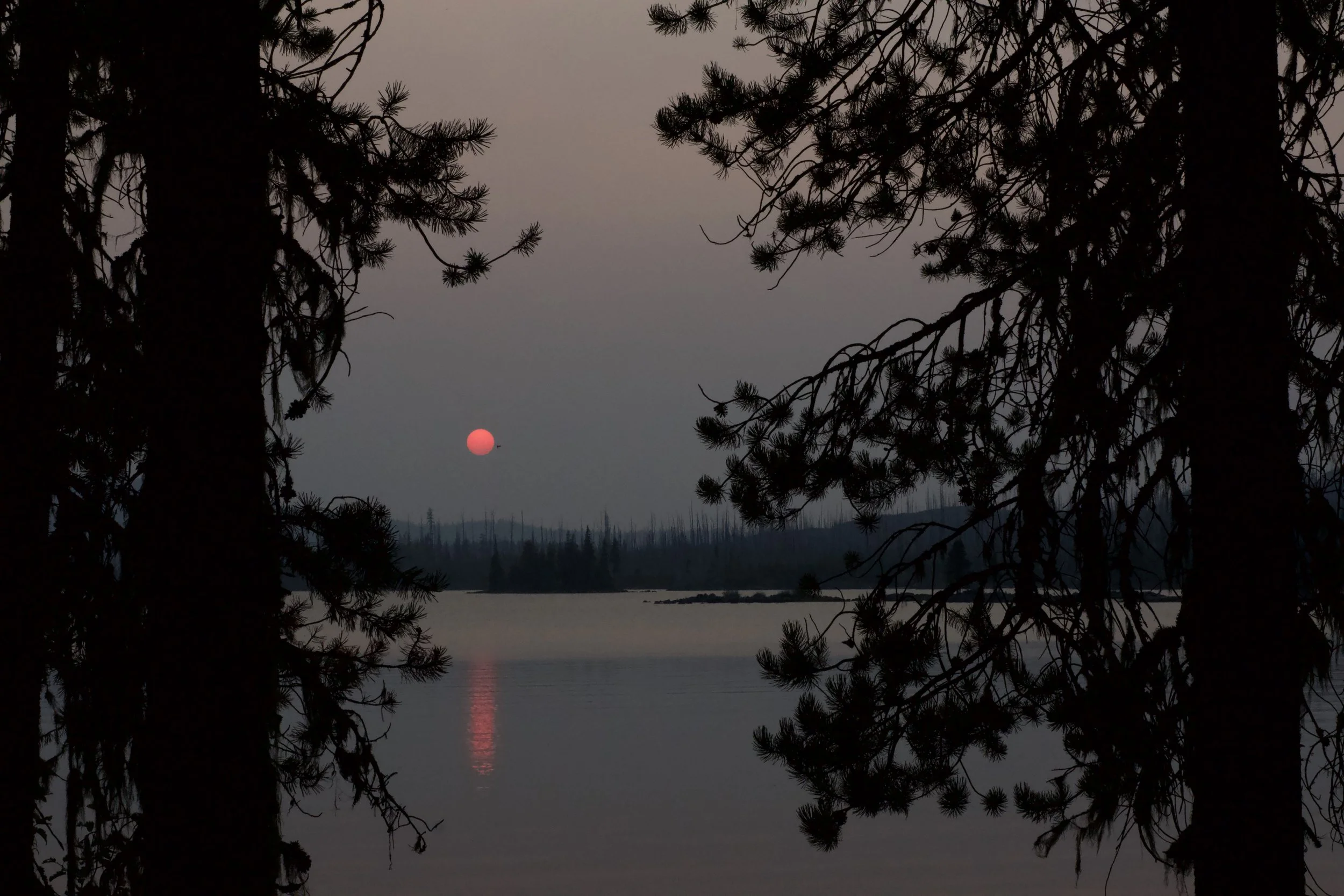 between yesterday and tomorrow