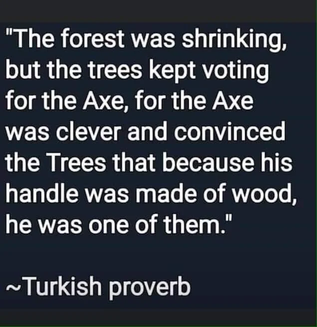 turkish proverb.jpeg