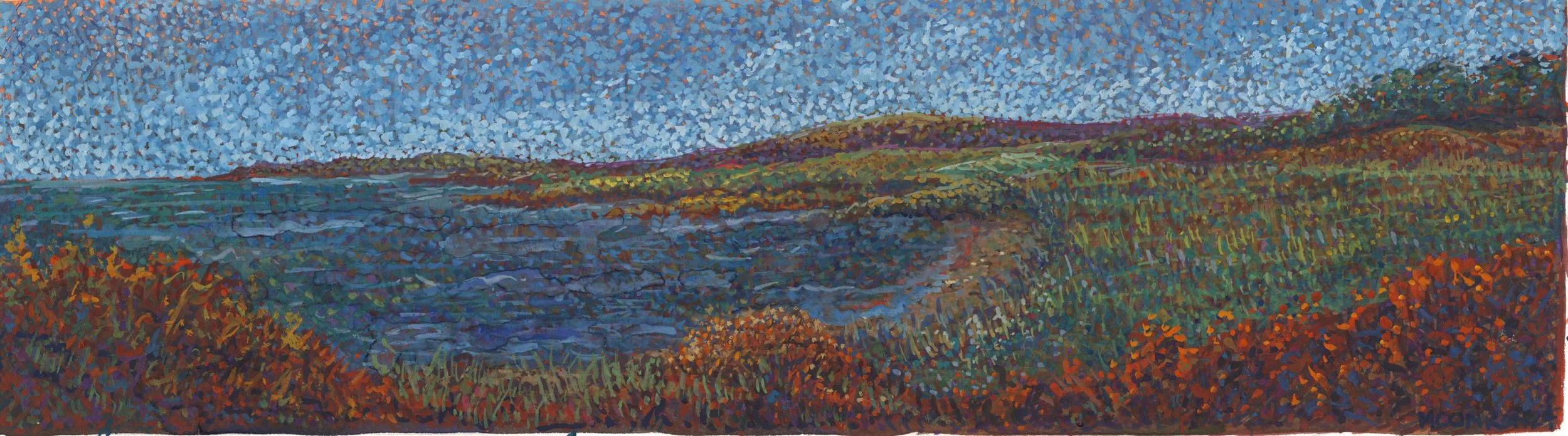 Near Castlefreke, West Cork