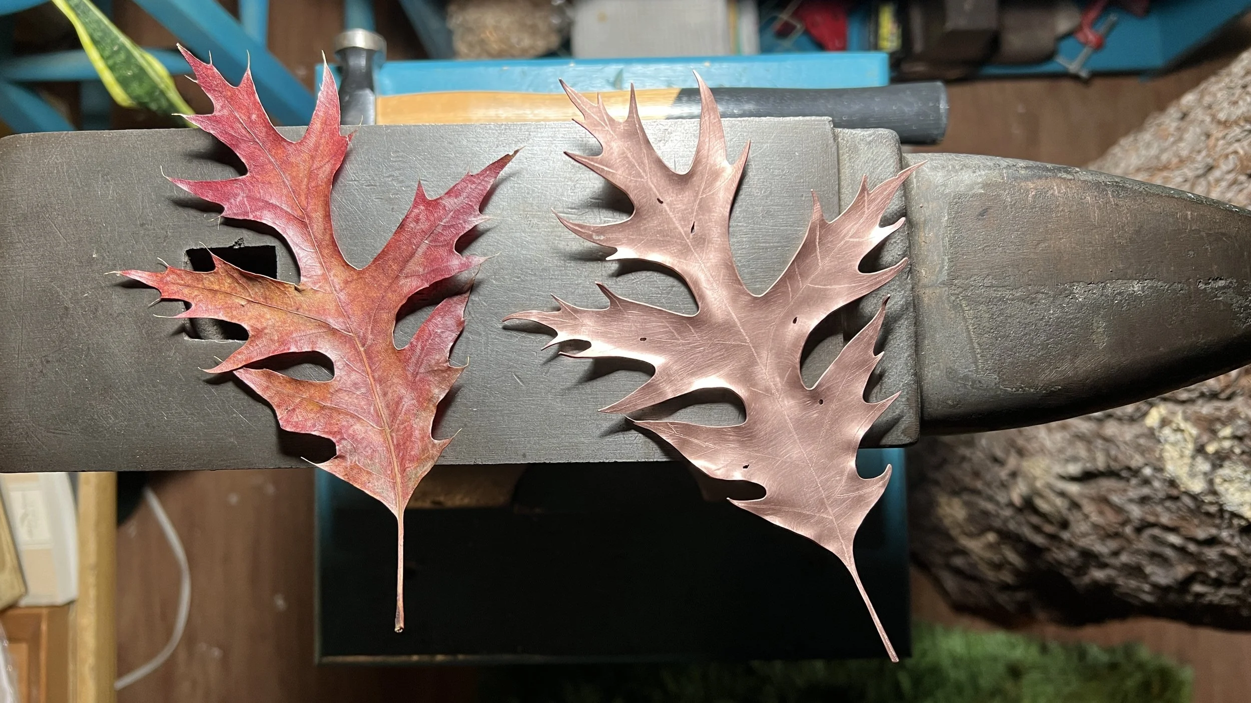 leaf portrait by Iris Noire Designs