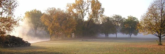 autumn.jpg