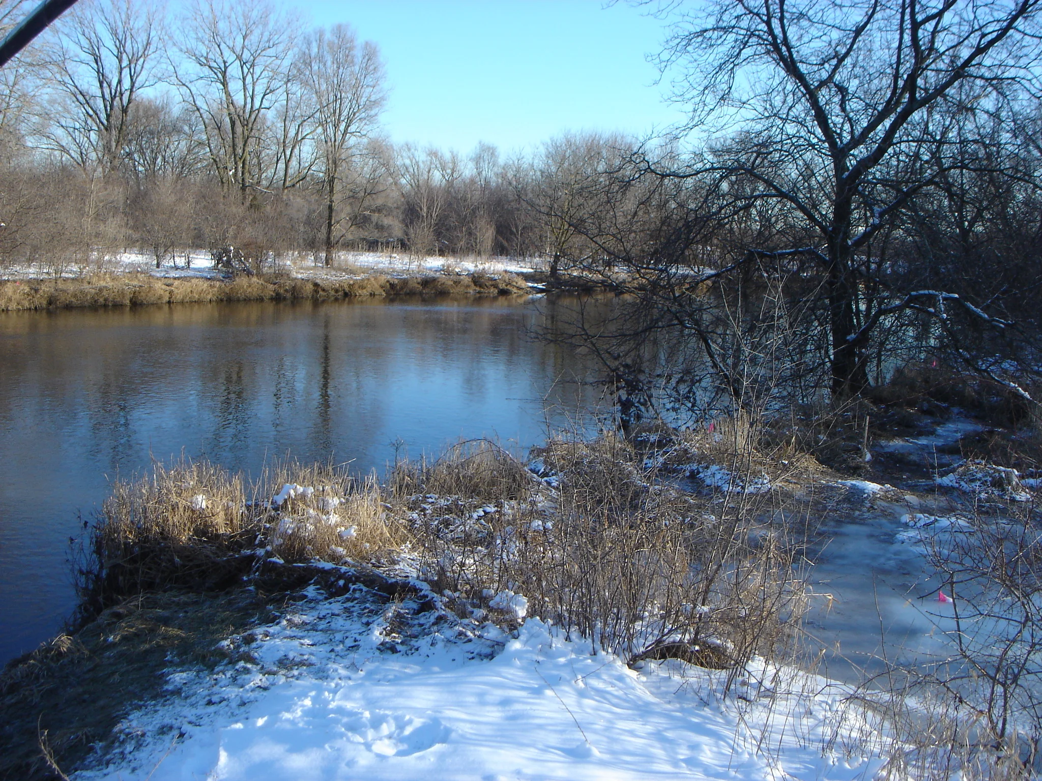 DSC02093.jpg