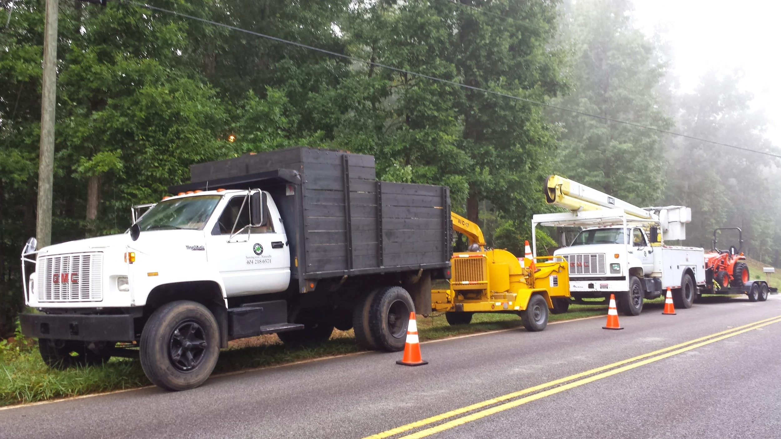 Tree Services Ellijay & Cummings, GA WOTS Inc.