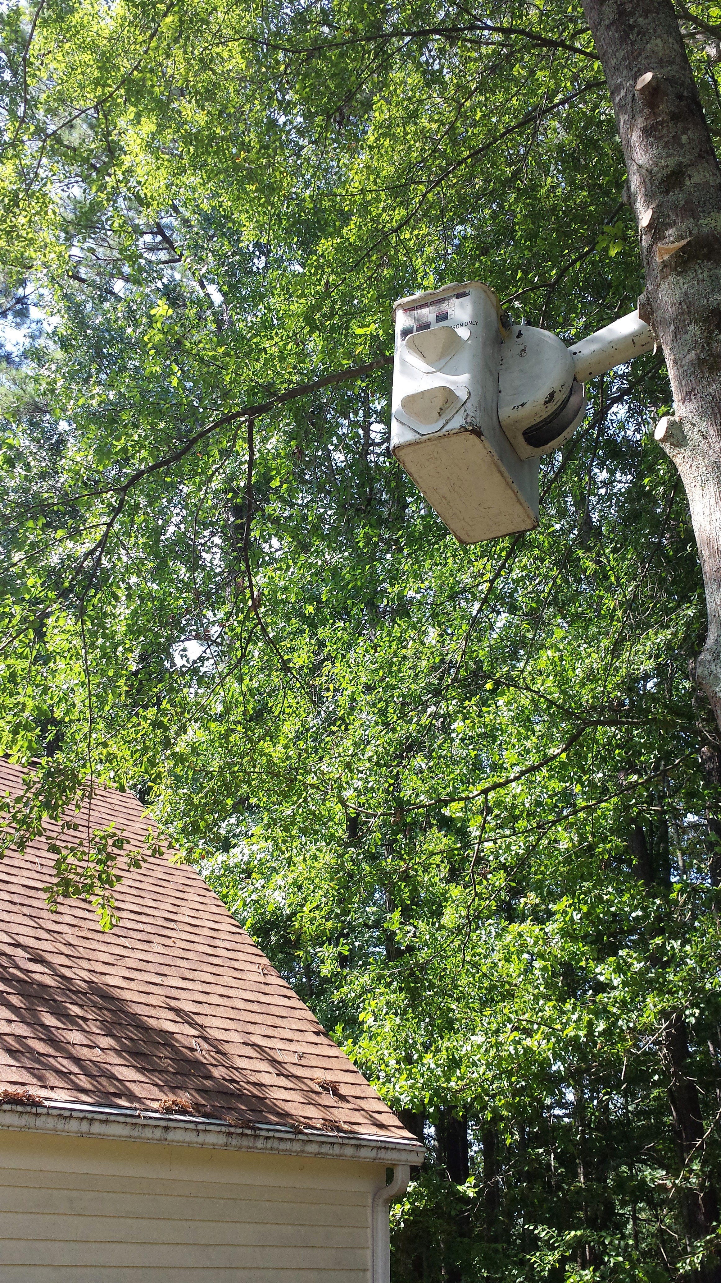 Rooftop Before 20140816_105226.jpg