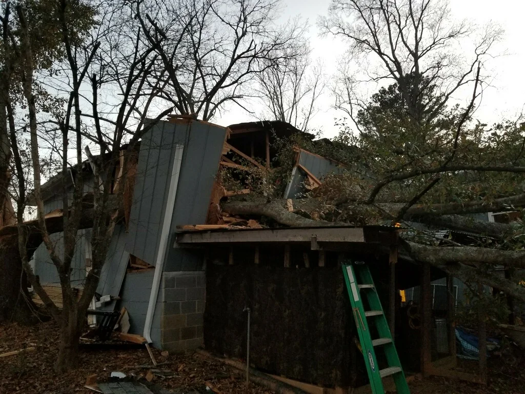 A co-dominant Oak that split apart in a storm that we removed from a house.
