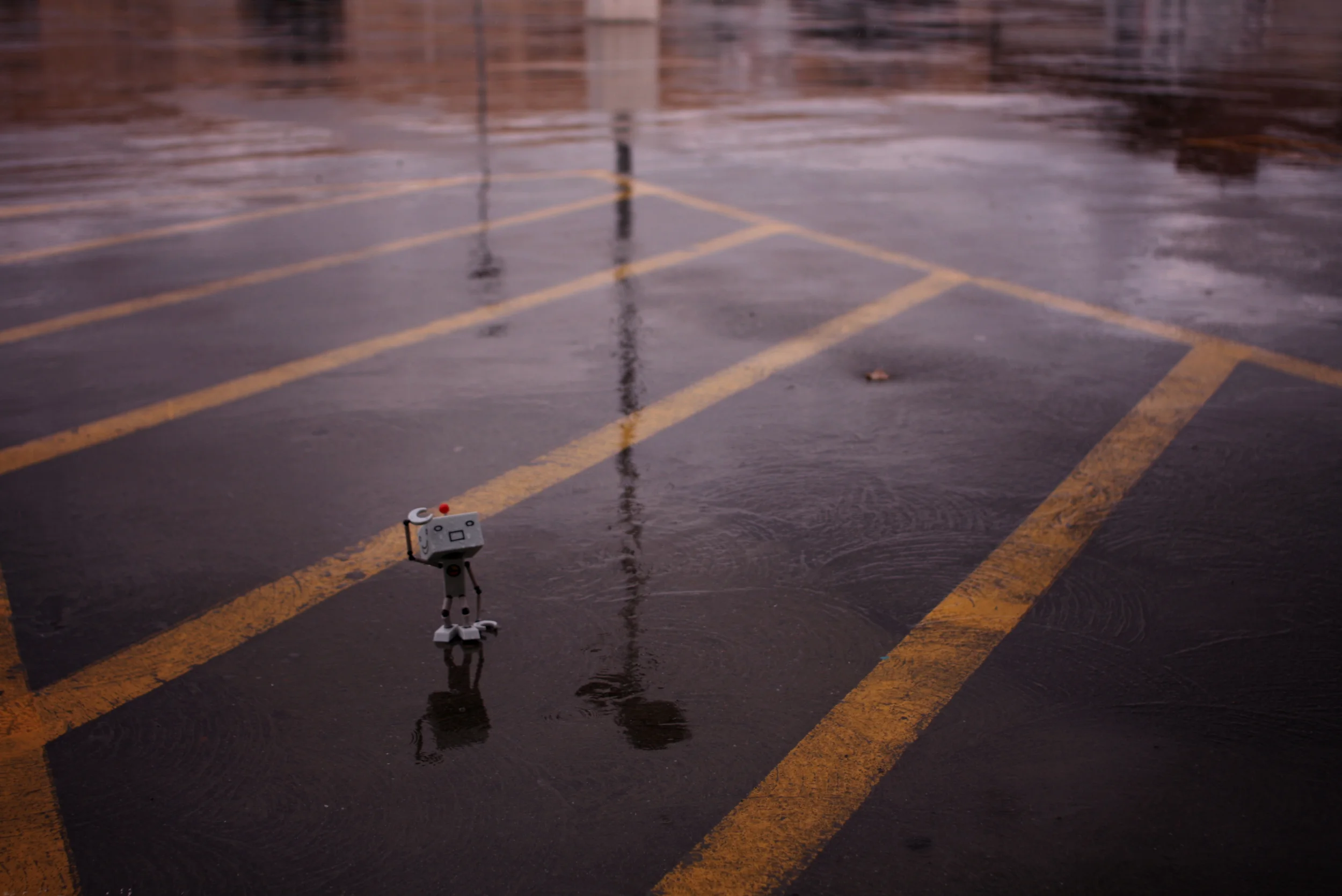 rainydays.jpg