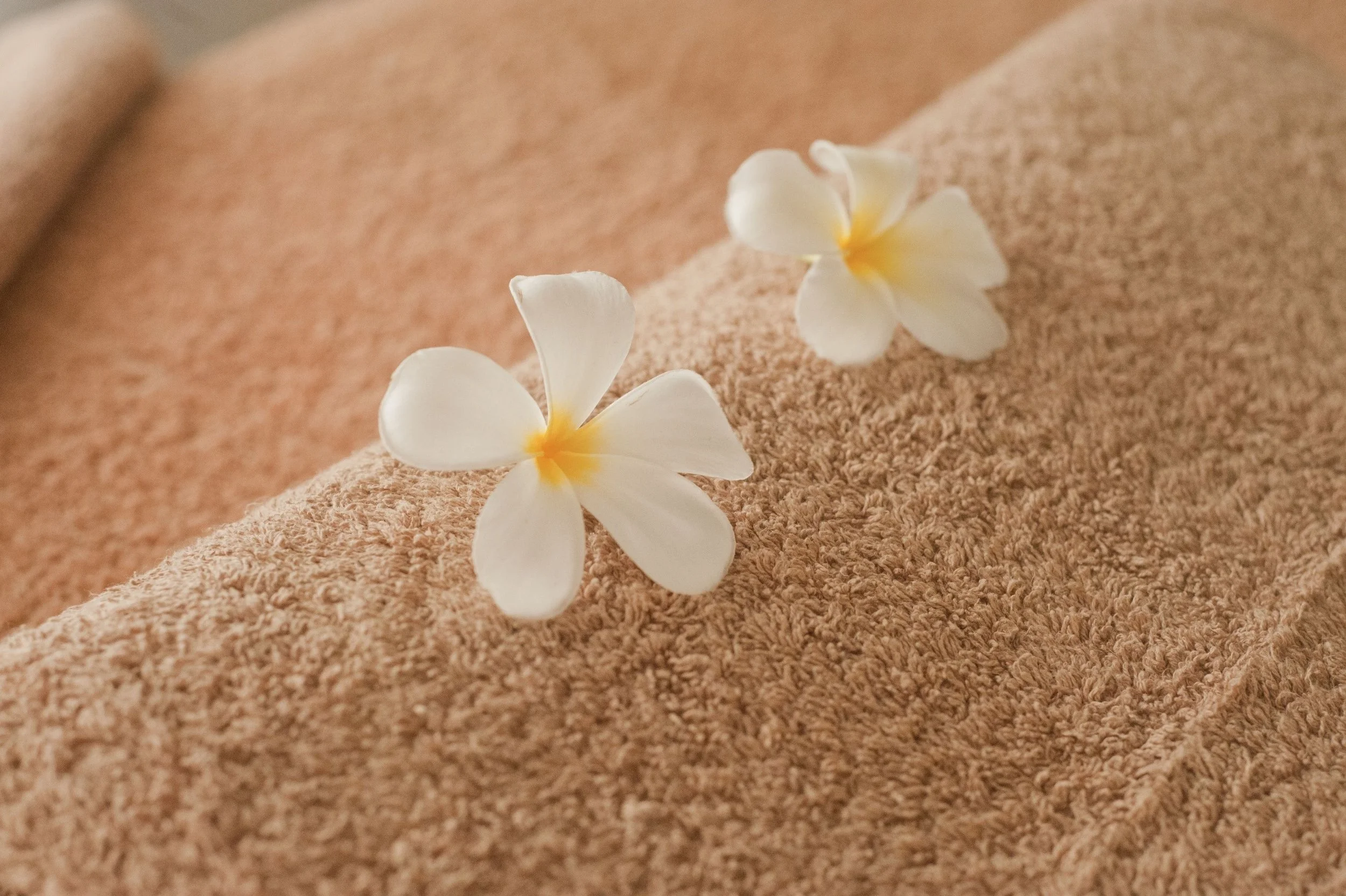 Flower Towel simple.jpg