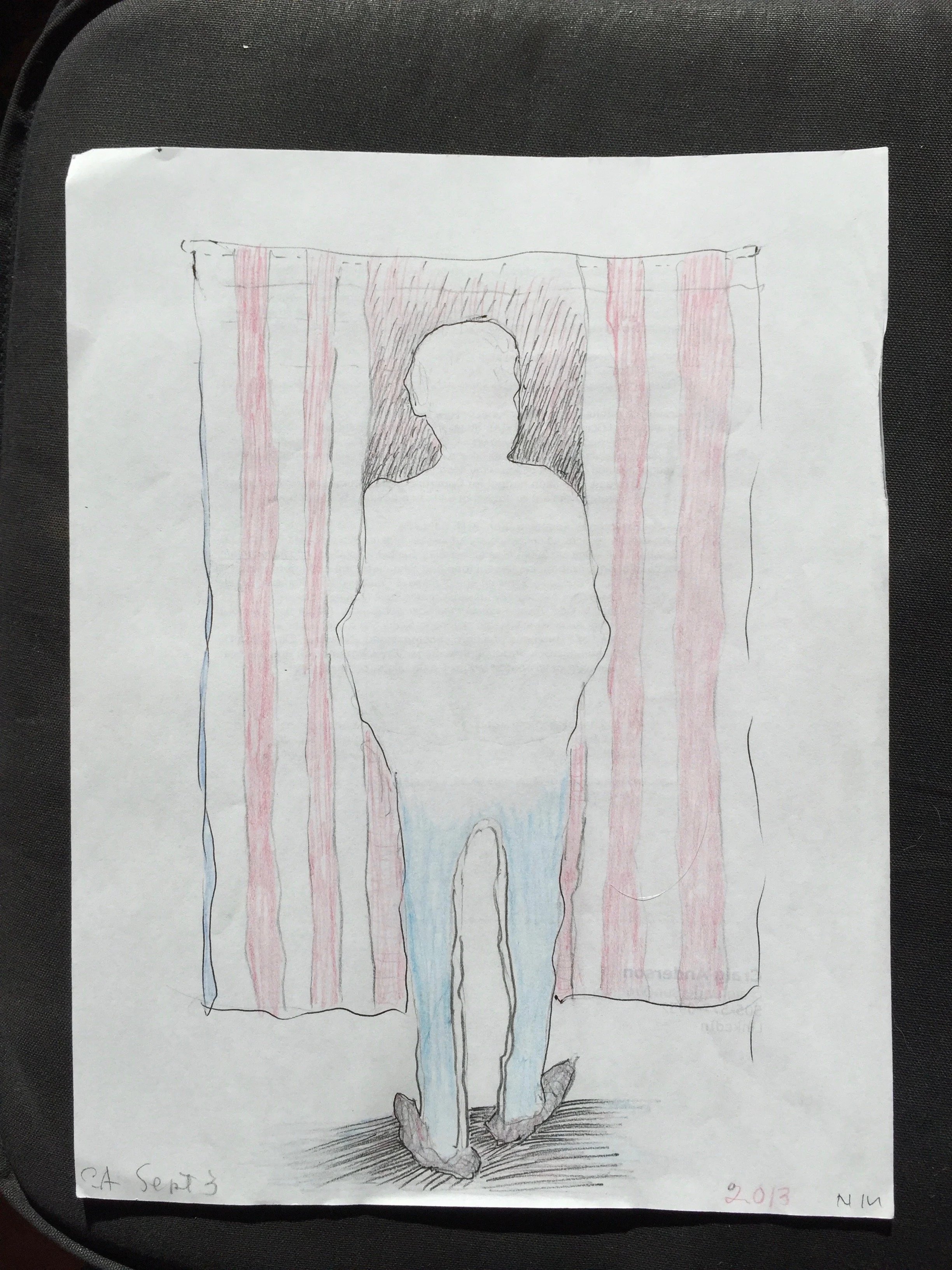 Man at Voting Booth 2013.jpeg