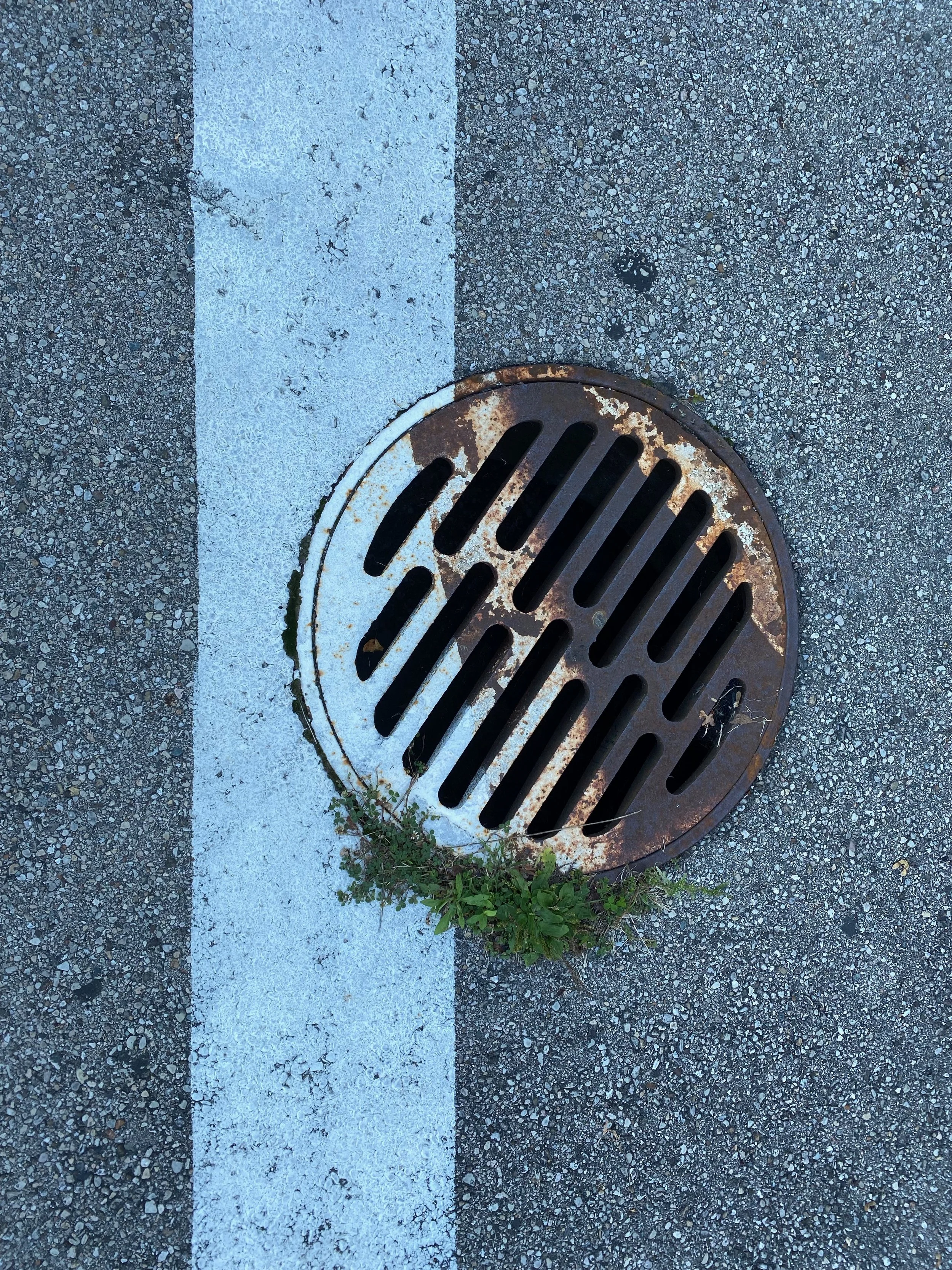 First Instagram Post CA.jpeg