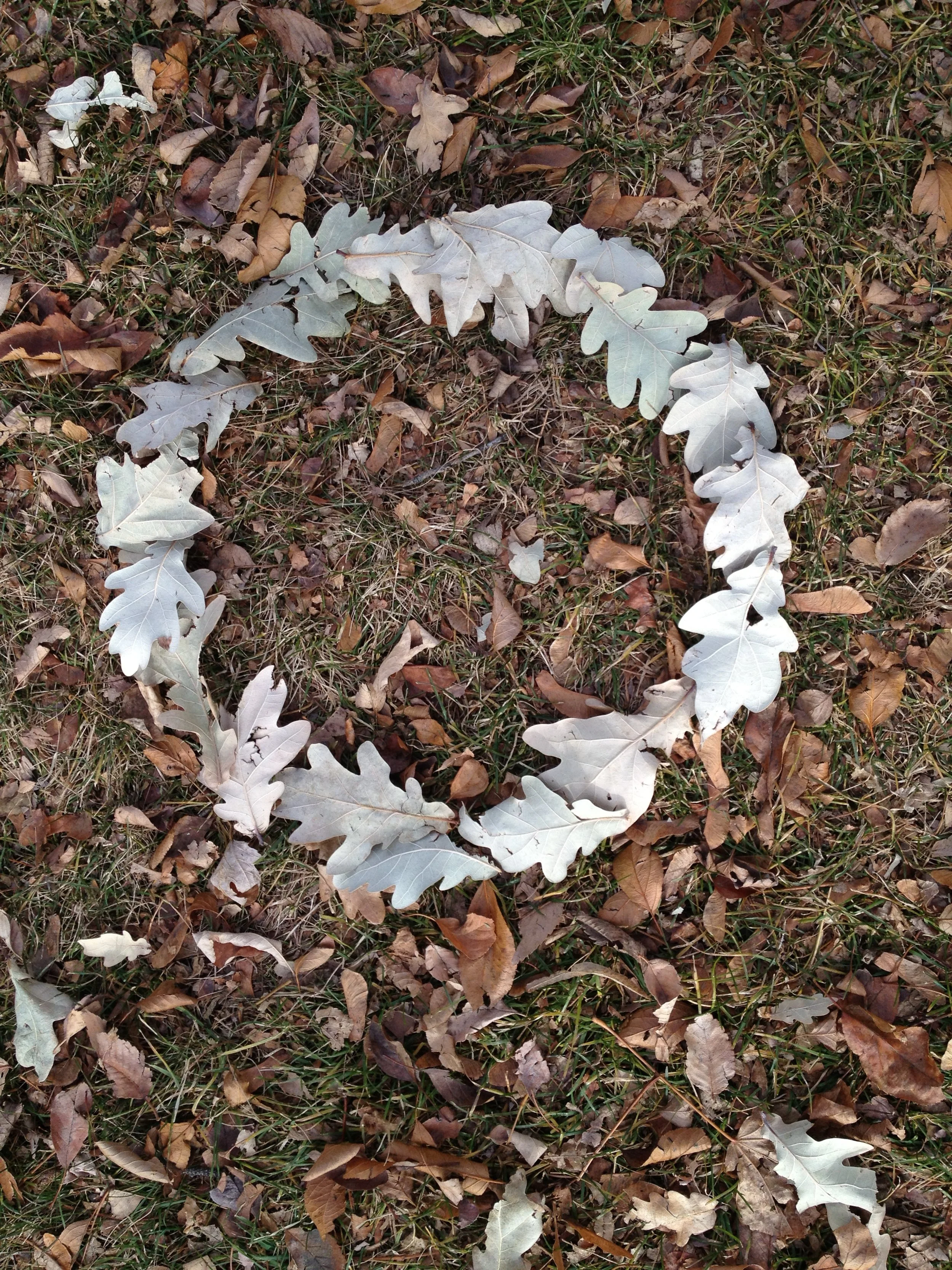 CA After Andy Goldsworthy.jpg