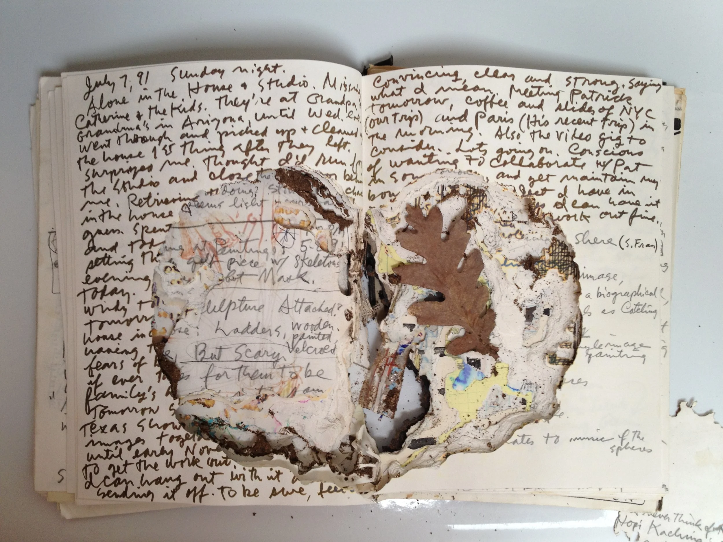 CA Notebook-Termites.jpg