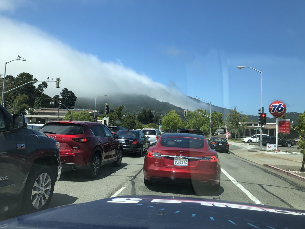  Fog rolls over and down the mountains in Marin County. 
