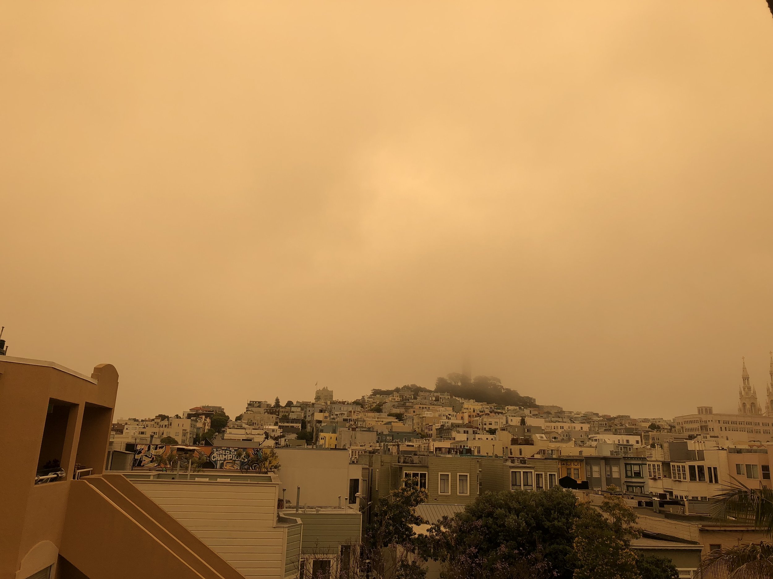  Coit Tower shrouded by fog, yellowed by the fires to the north of San Francisco. 