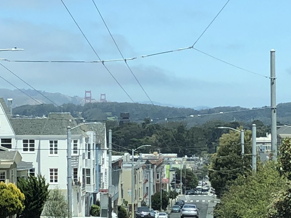 The Golden Gate Bridge towers rise over Golden Gate Park. 