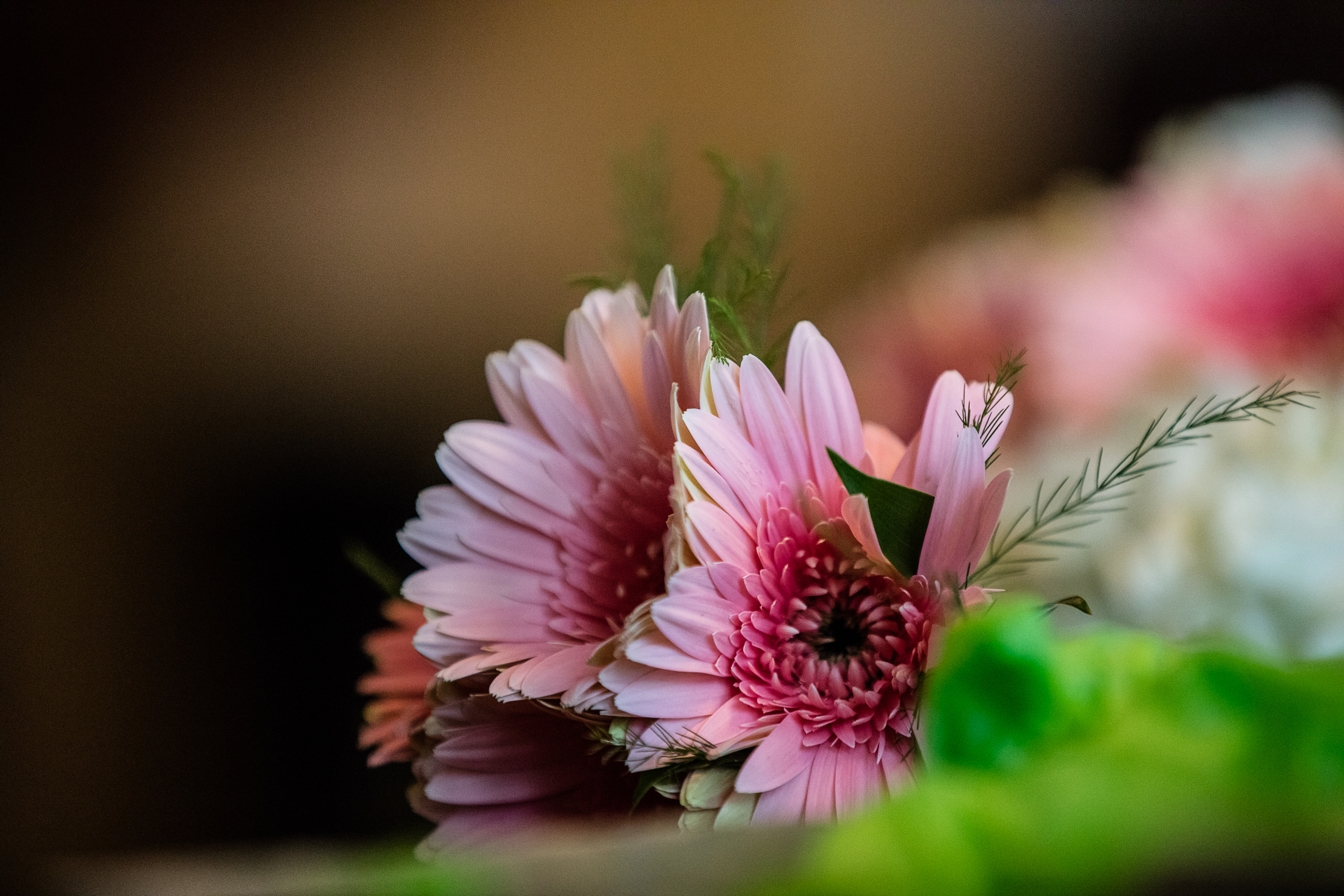 ISO 3200 - 200mm - f2.8 - 1/500 (5DS)