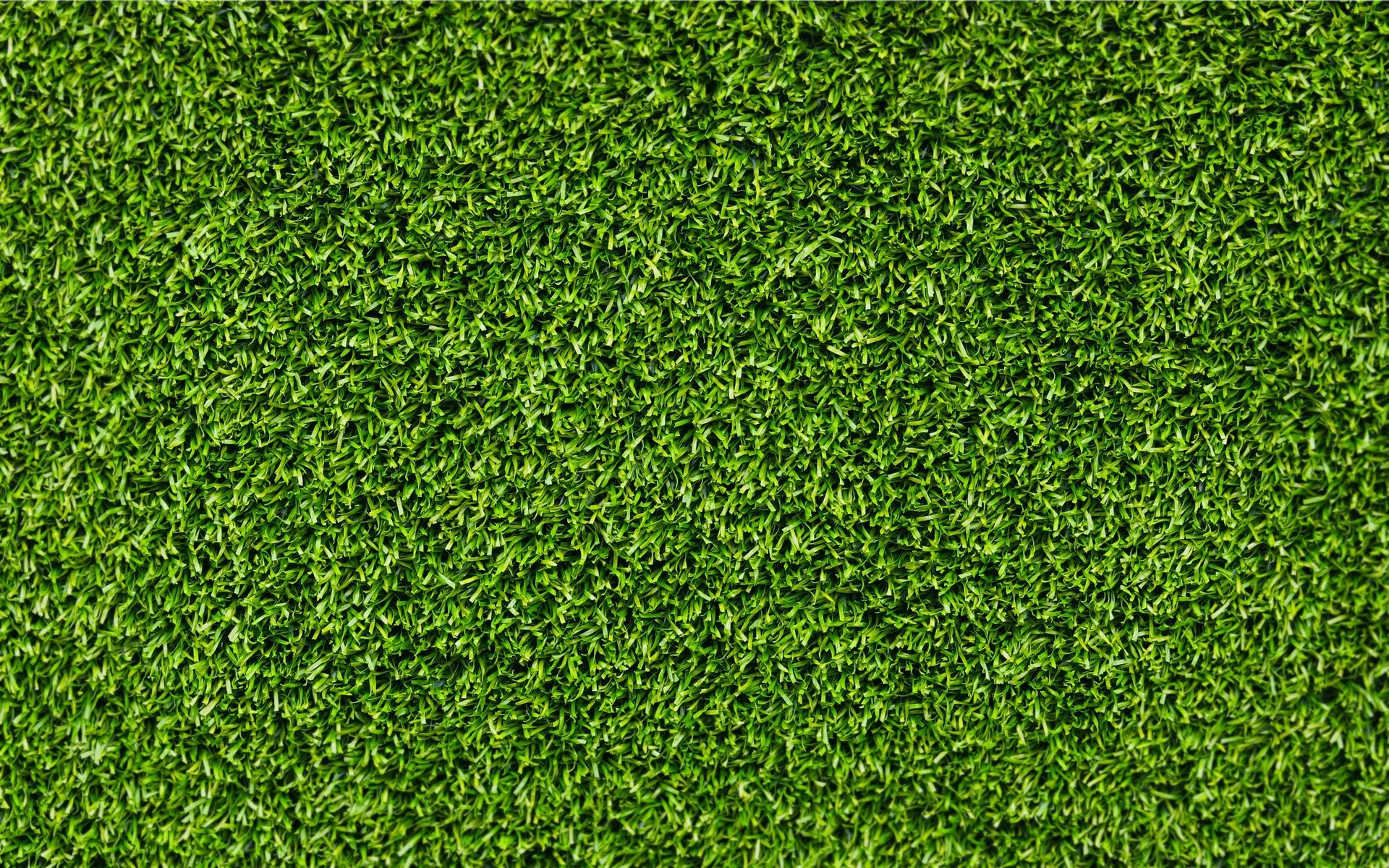 green-grass-texture-wallpaper-5363c7d09f2a4.jpeg