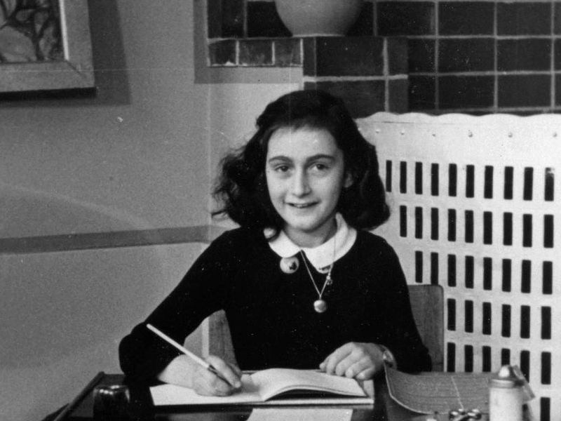 annefrankthespunyarn.jpeg