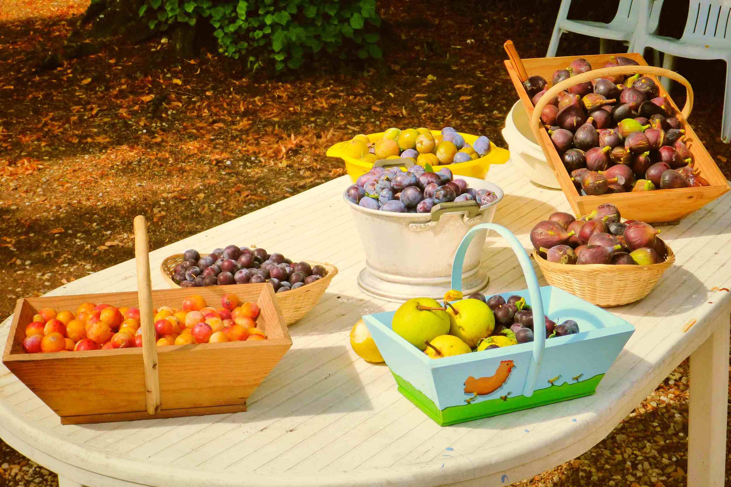 Various fruits from the orchard