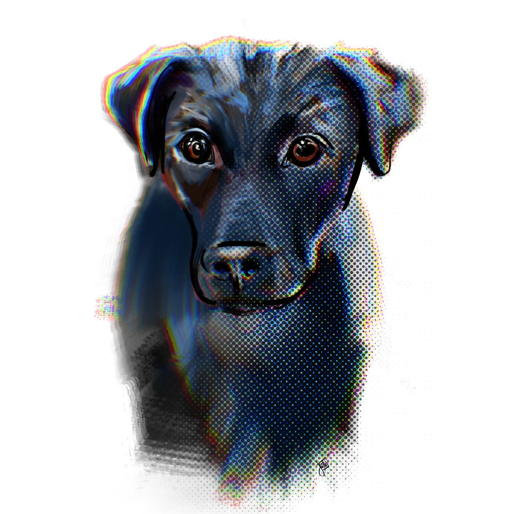 Pet portrait.jpg
