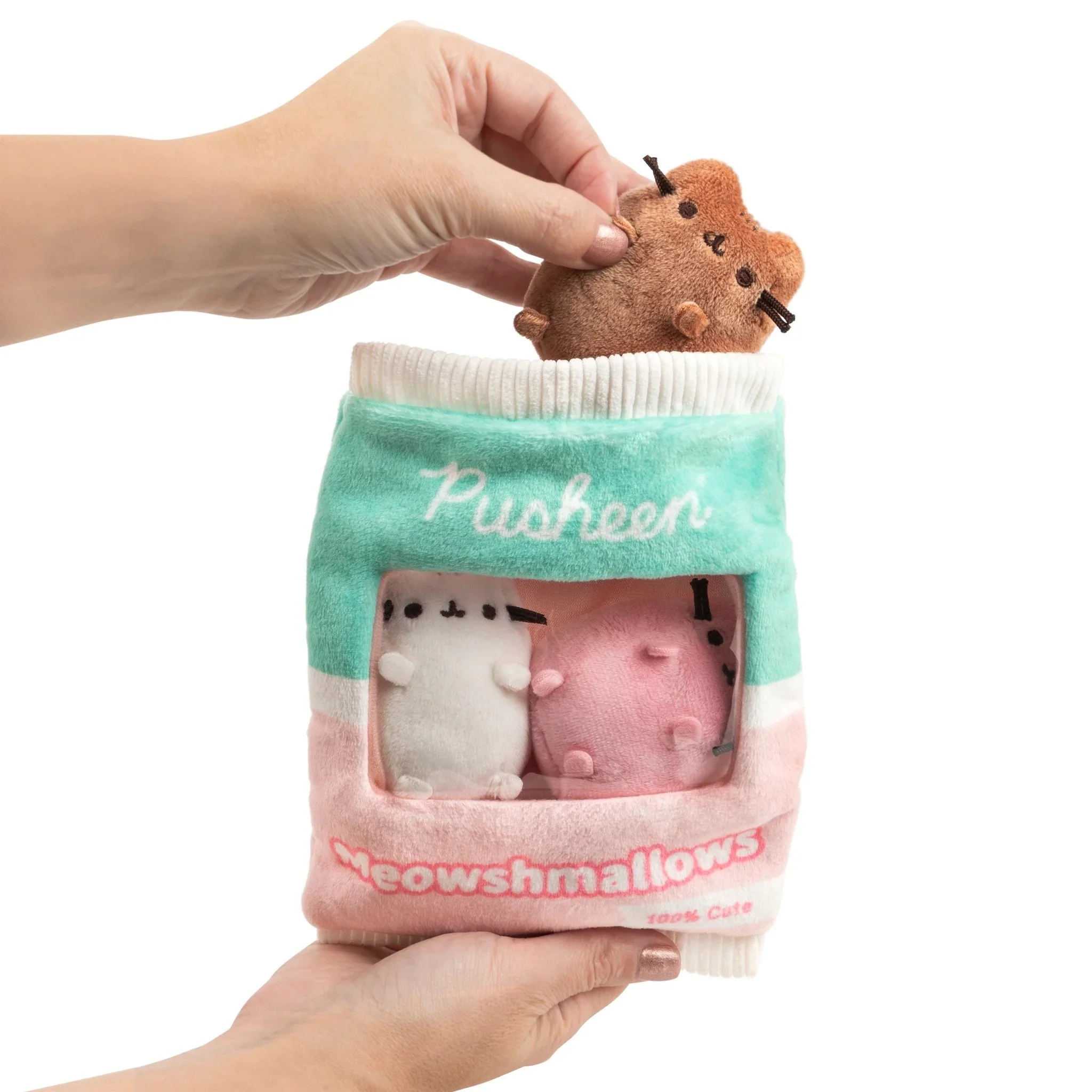 Pusheen Treats 02.jpg