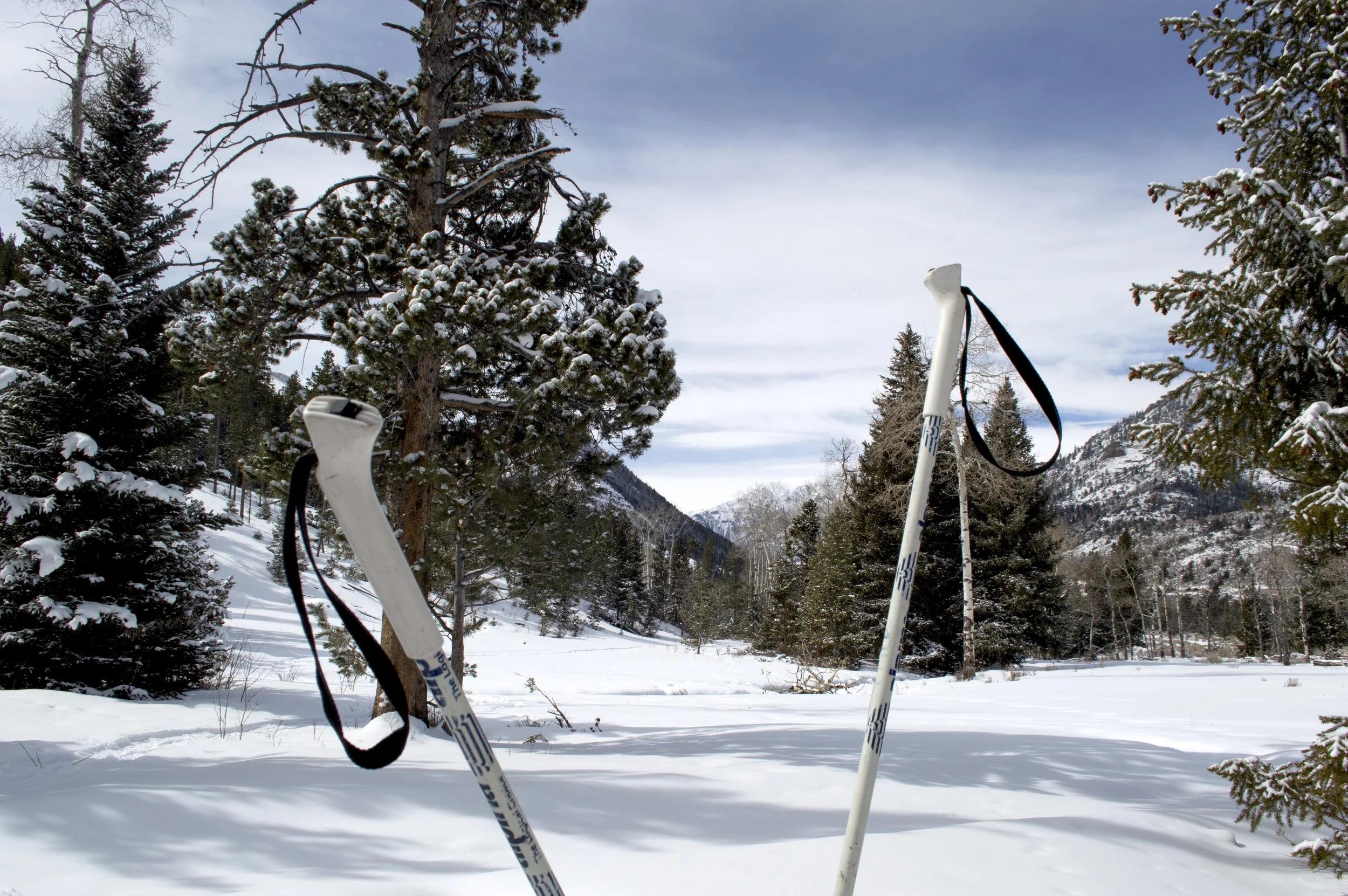 Wood River Cross Country Ski Park, Meeteetse, Wyoming
