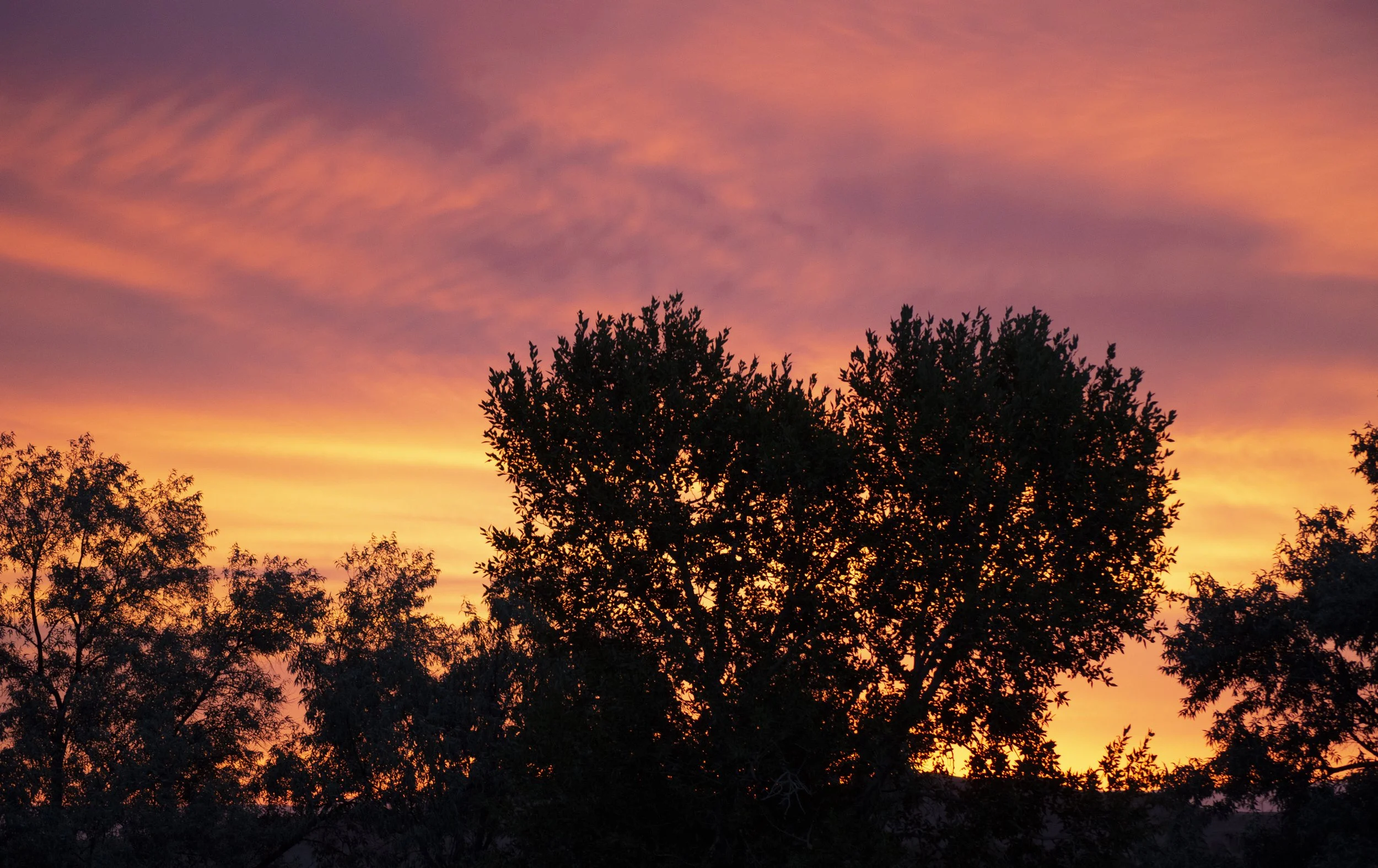 Heart Rending Sunrise, Meeteetse, Wyoming