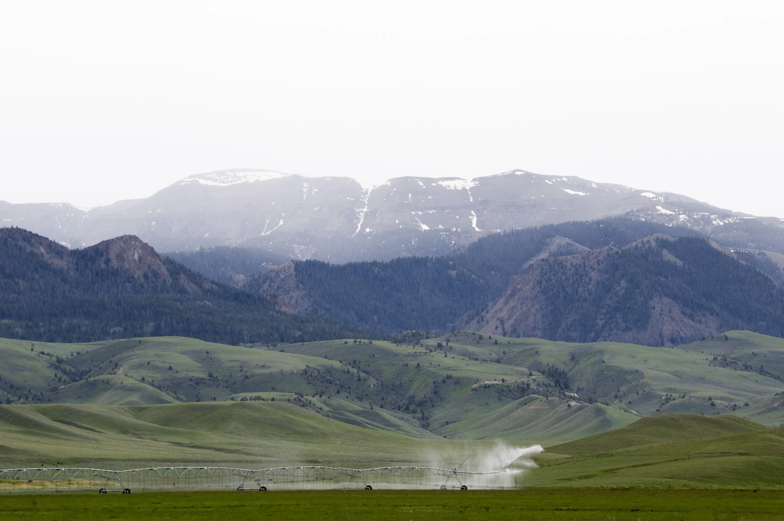 Upper Sunshine Area - Meeteetse, Wyoming