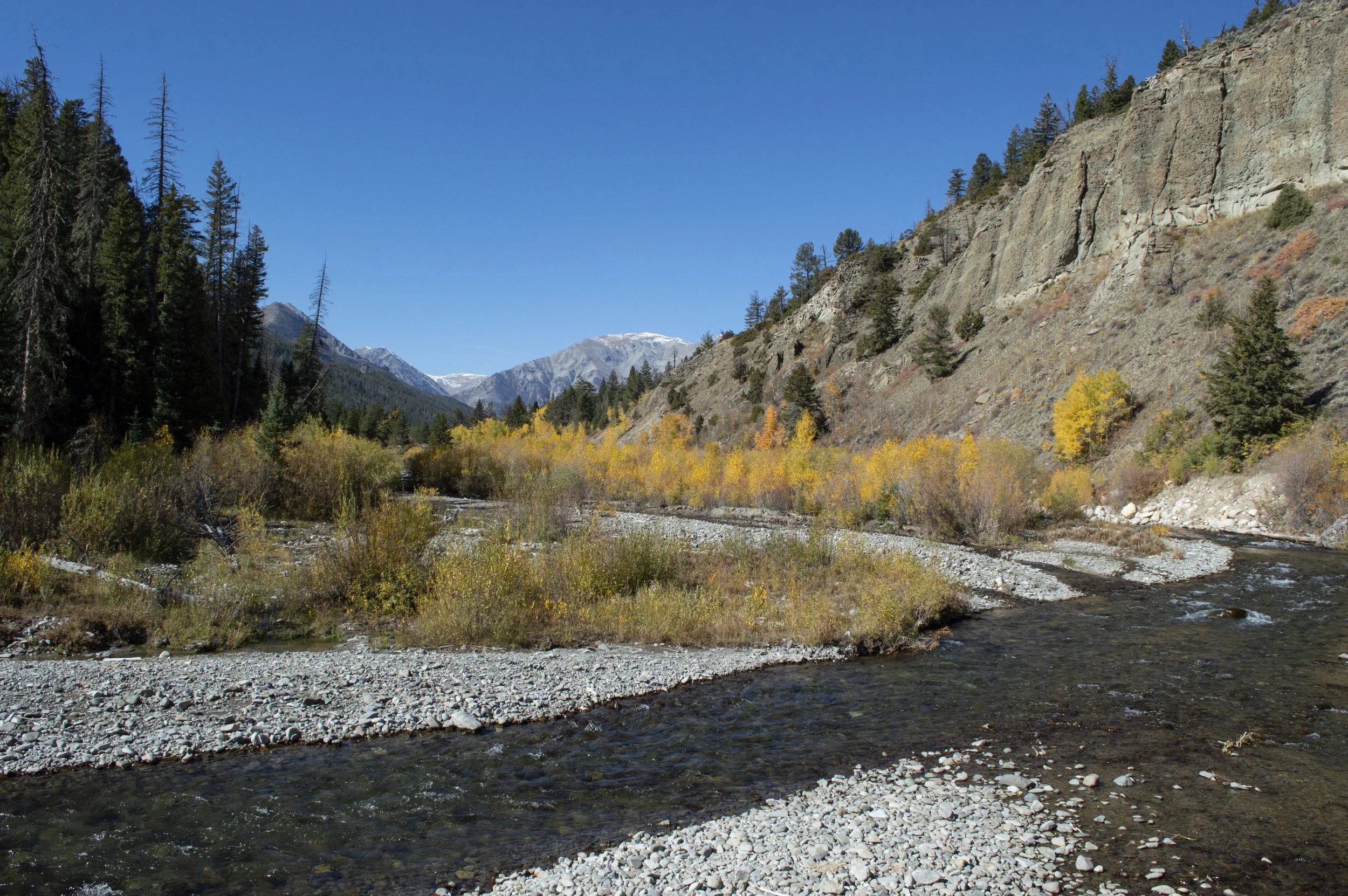 Wood River