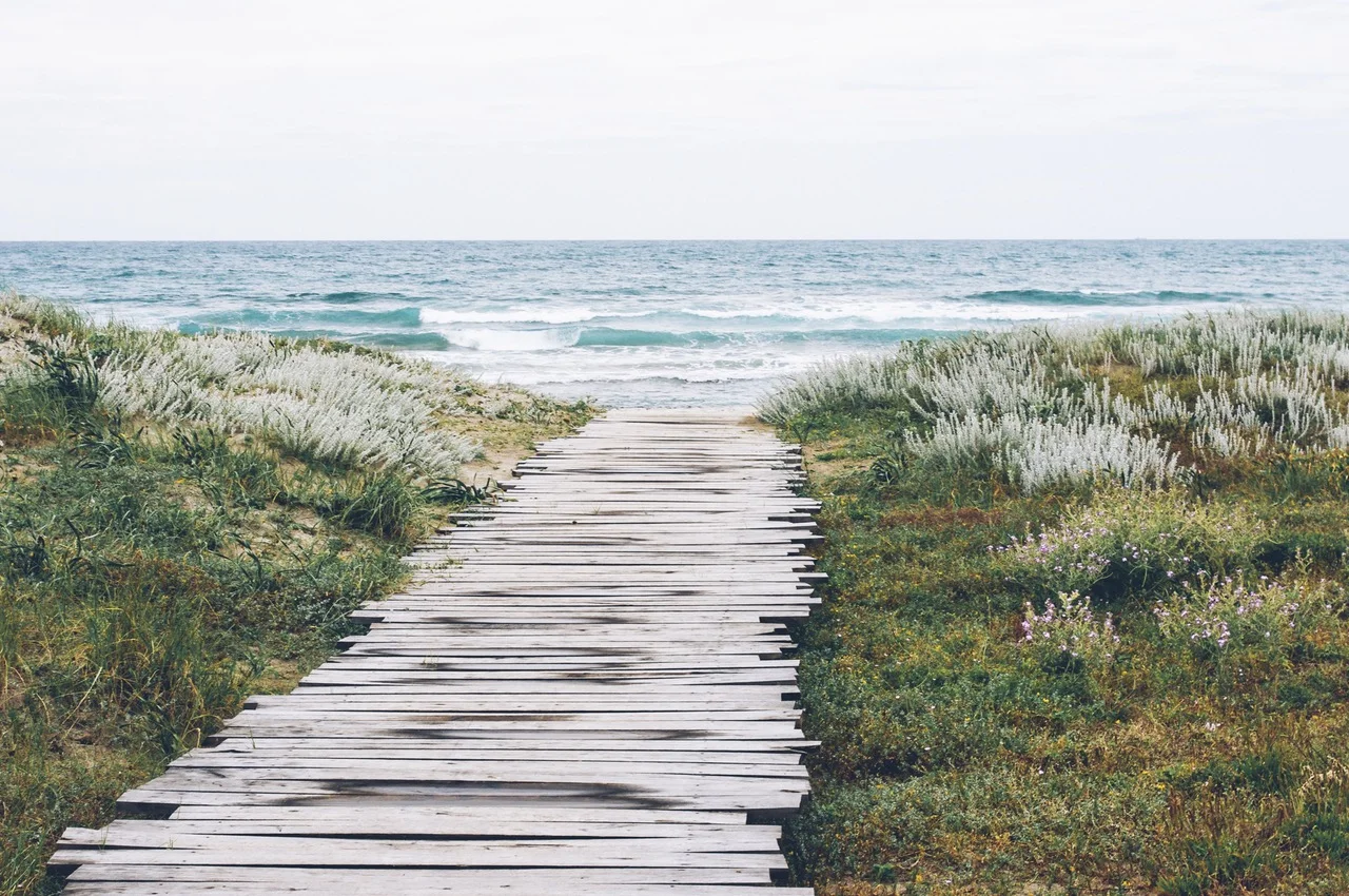 landing-stage-sea-nature-beach.jpg