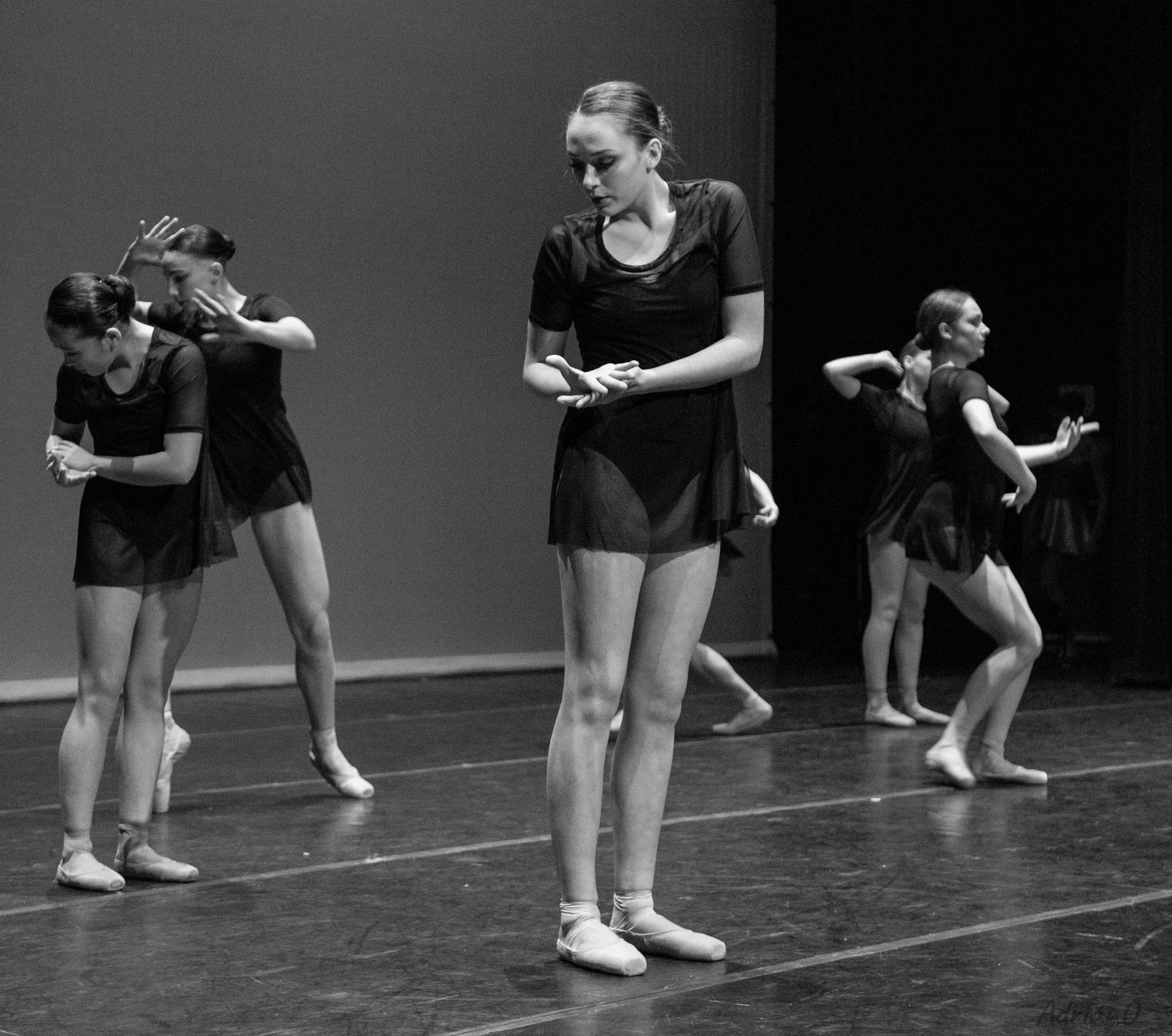 _MG_6778.jpg