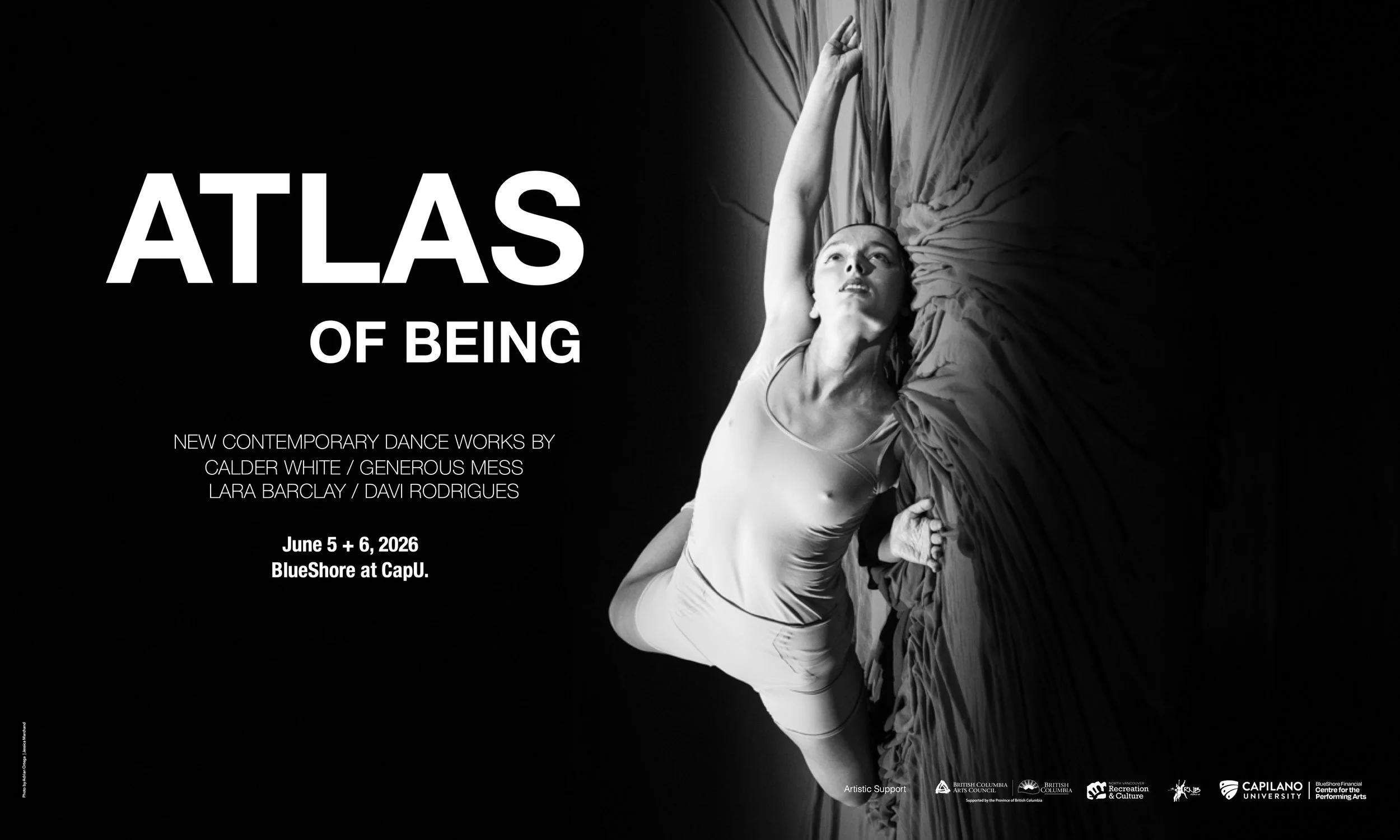 Site 2500 x 1500.1.jpeg