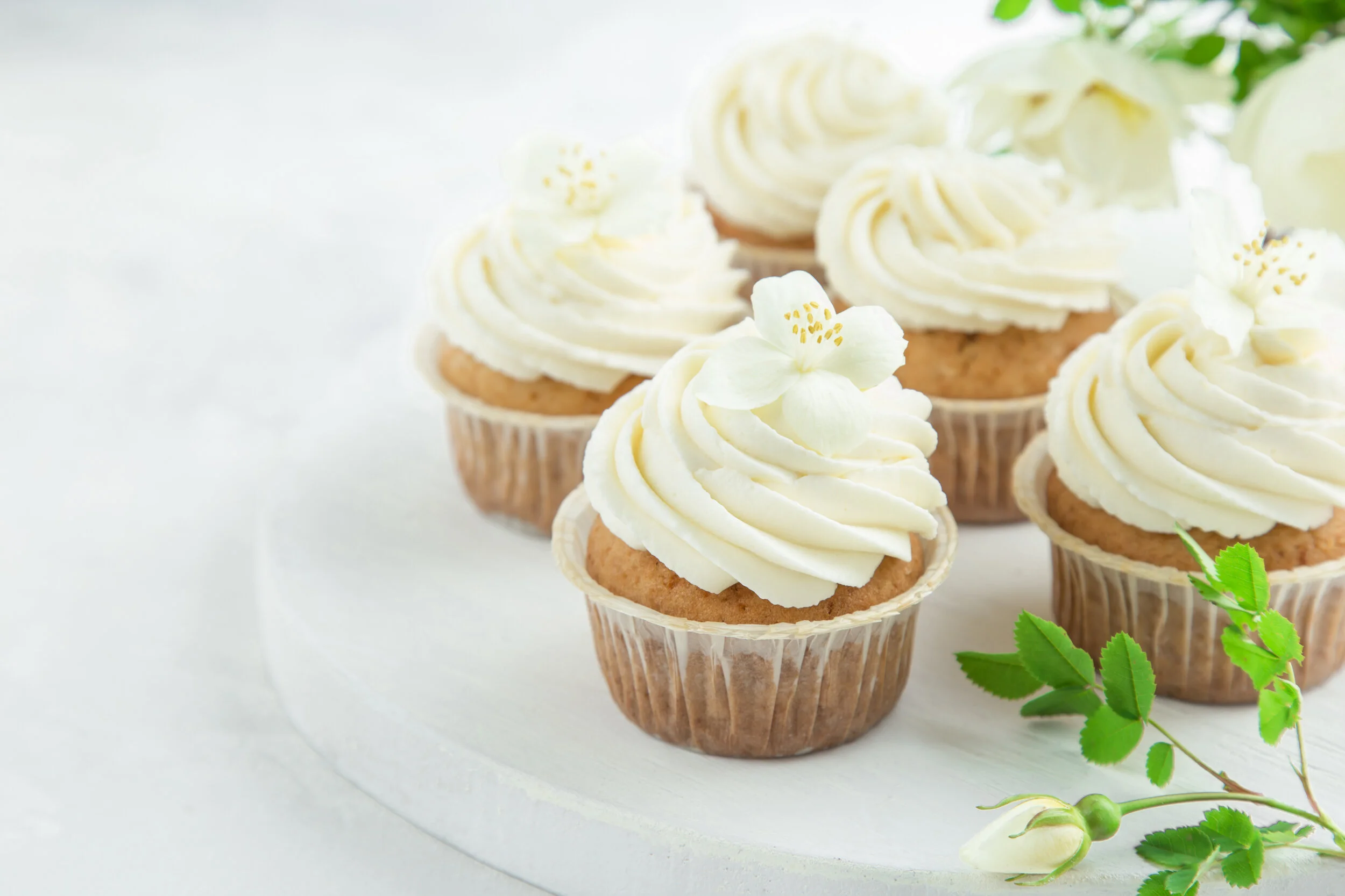 Vegan Cupcakes or Cake — "A Taste of Heaven"