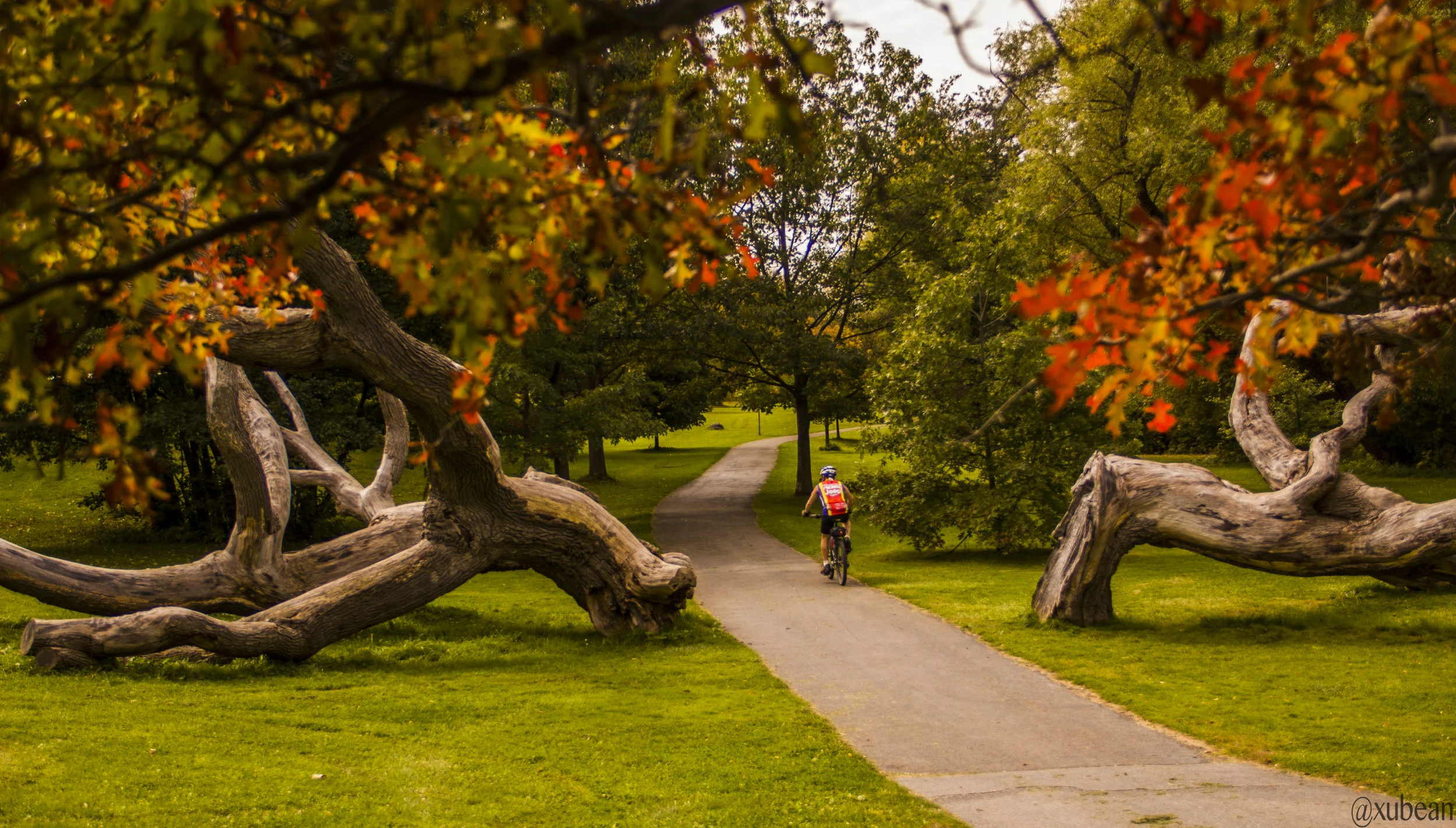 Genesee Riverway Trail Fall.JPG