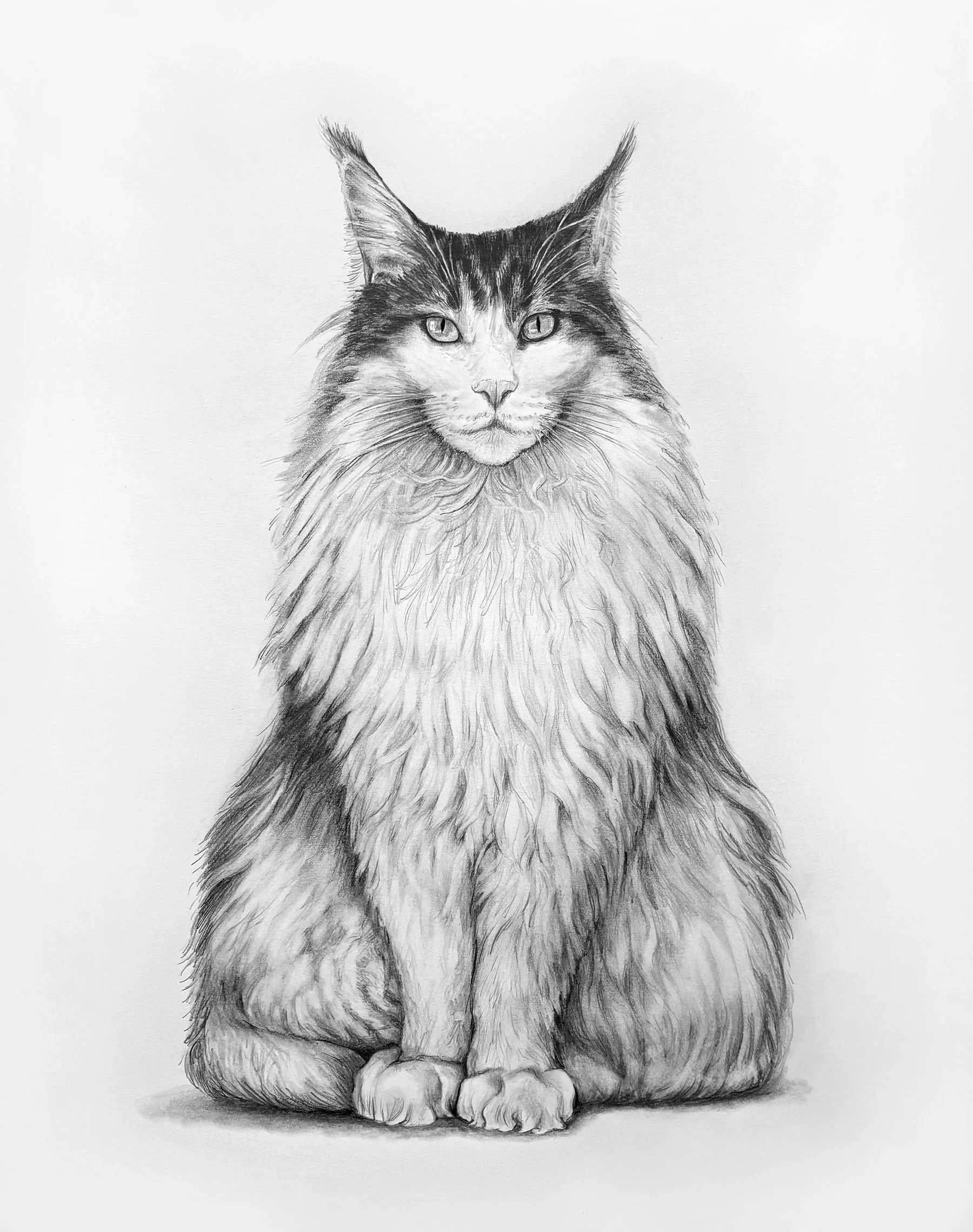 Nash