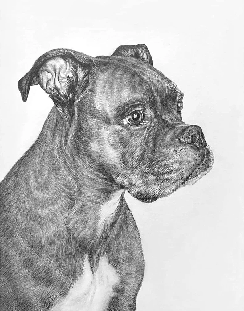 Scout