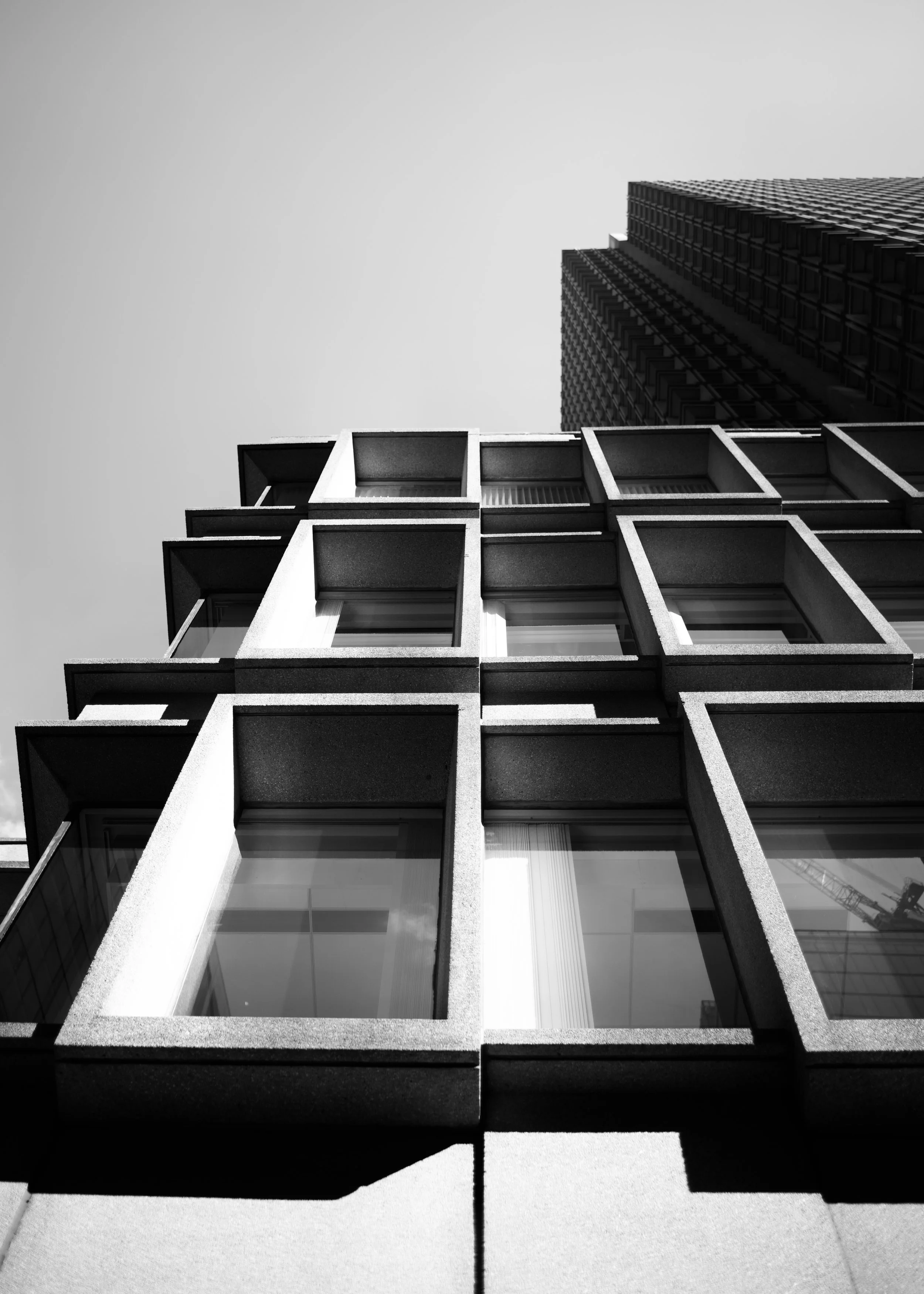 DSC_7715.jpeg