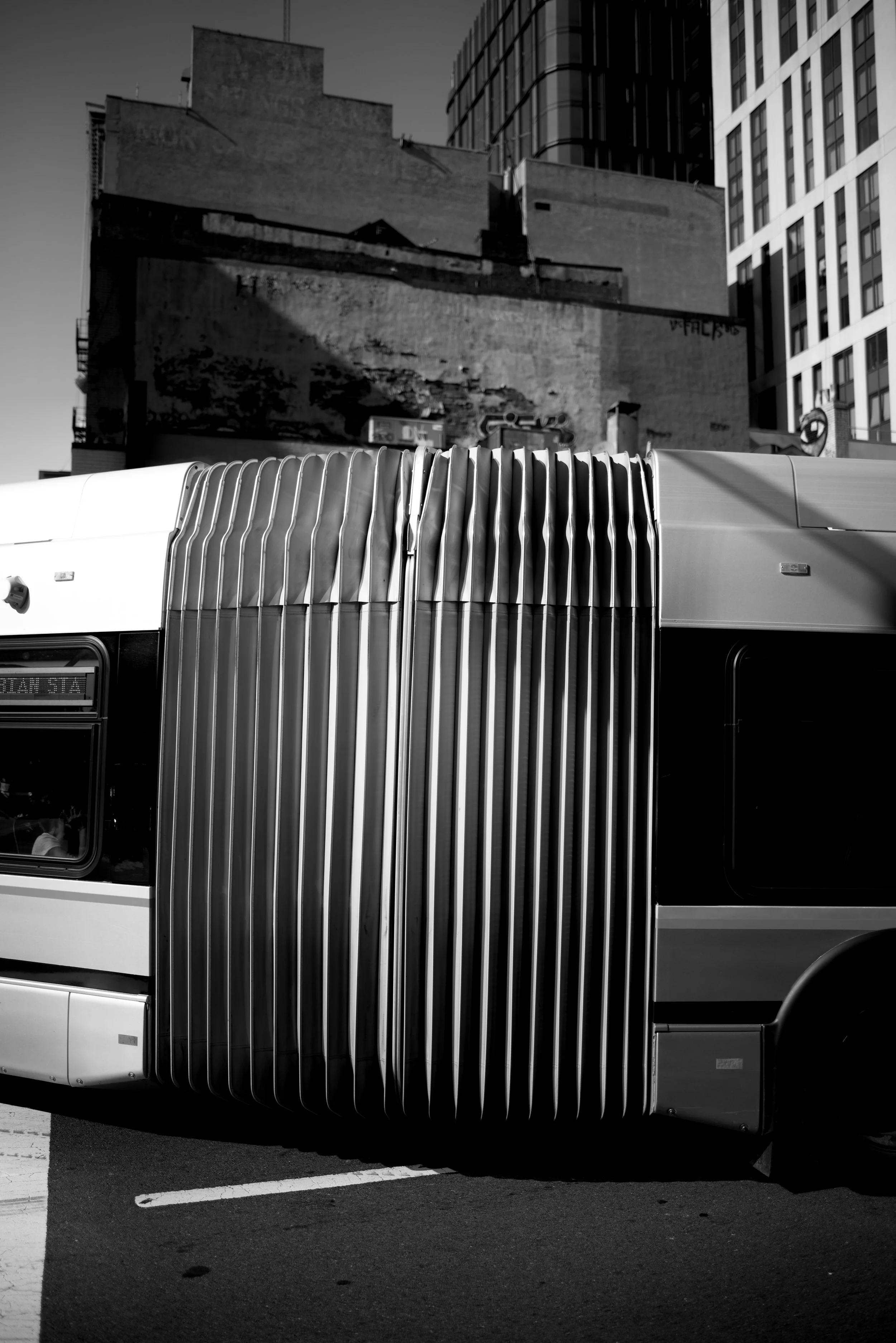 DSC_7163.jpeg