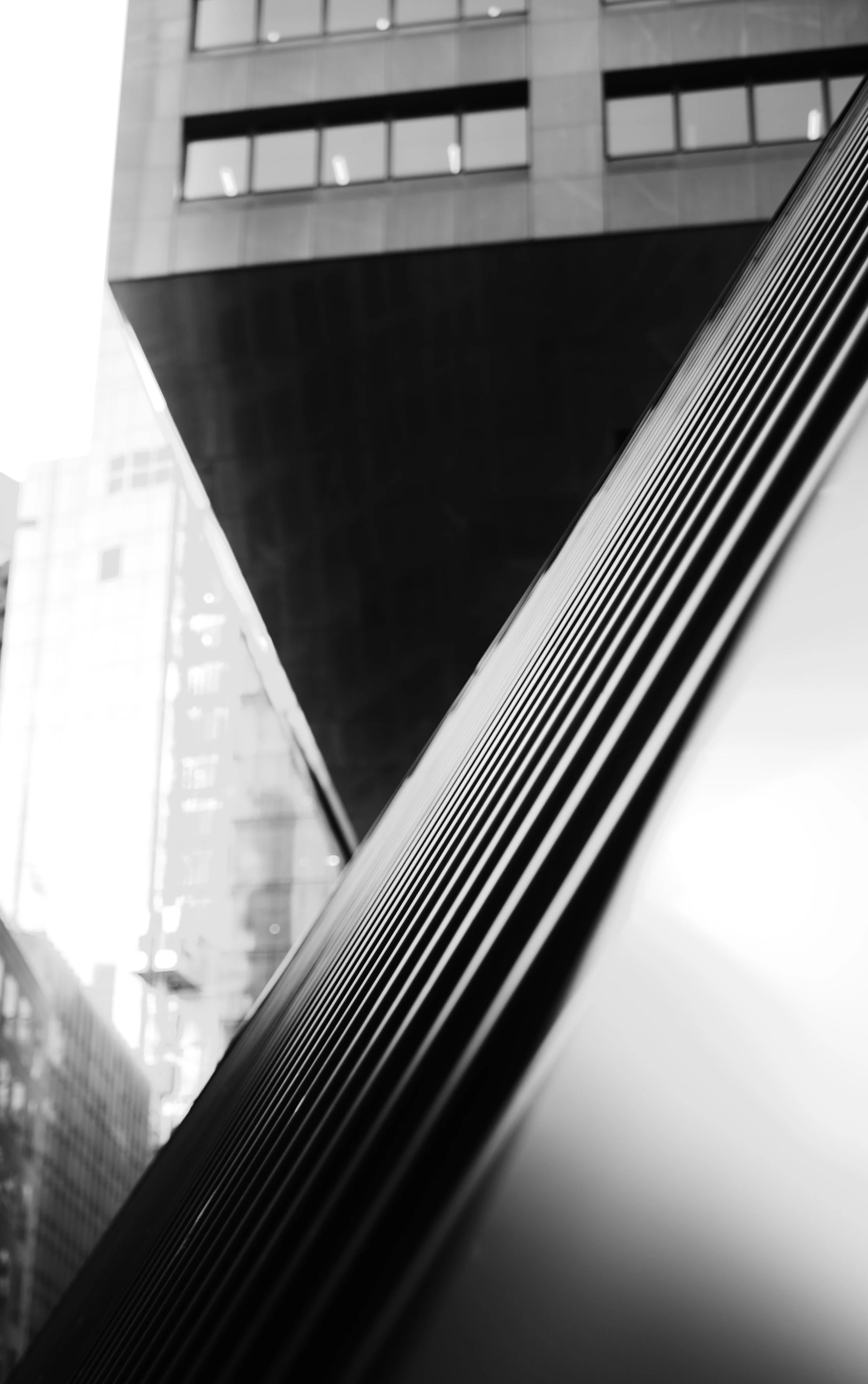 DSC_7512.jpeg