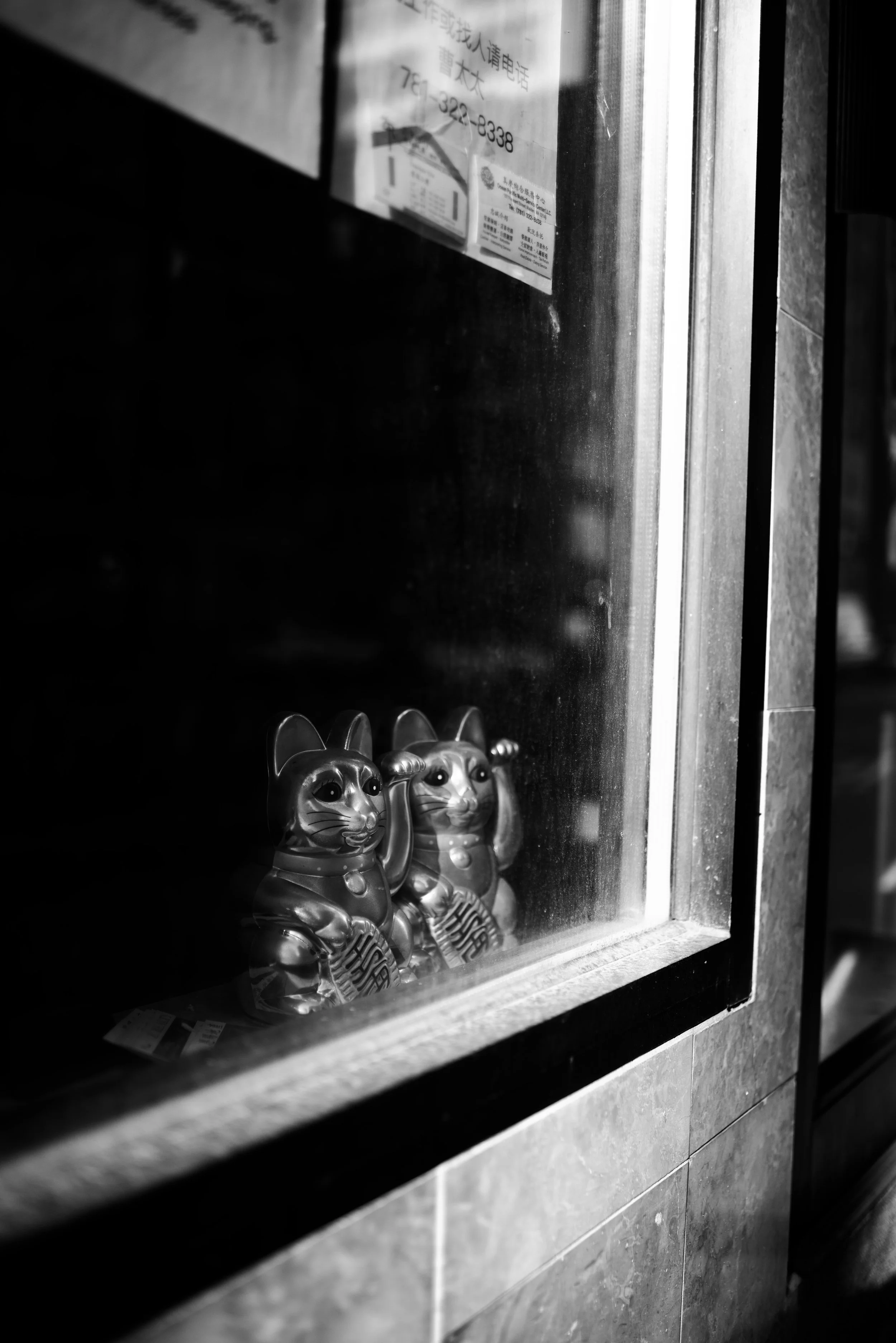 DSC_7289.jpeg