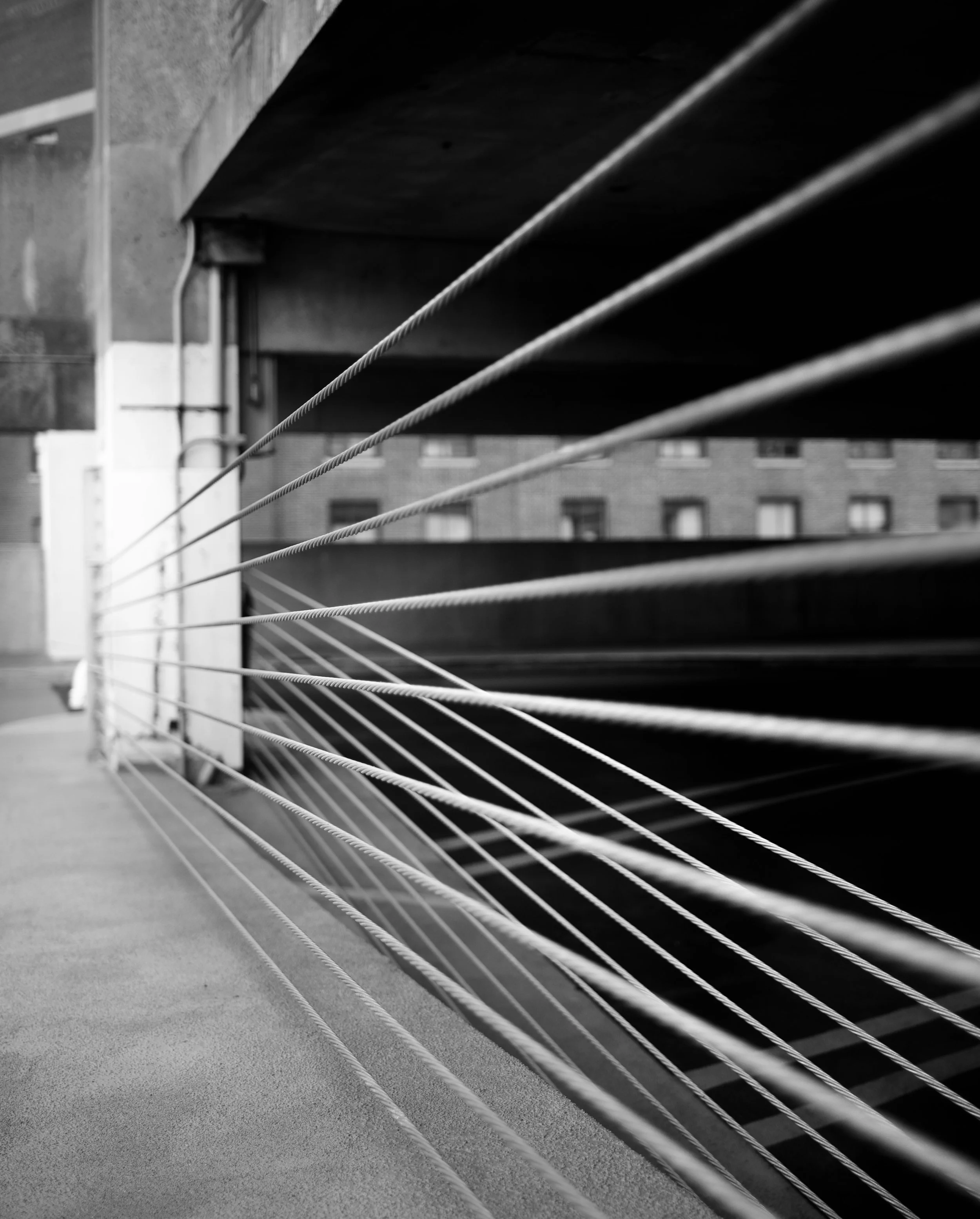 DSC_7676.jpeg