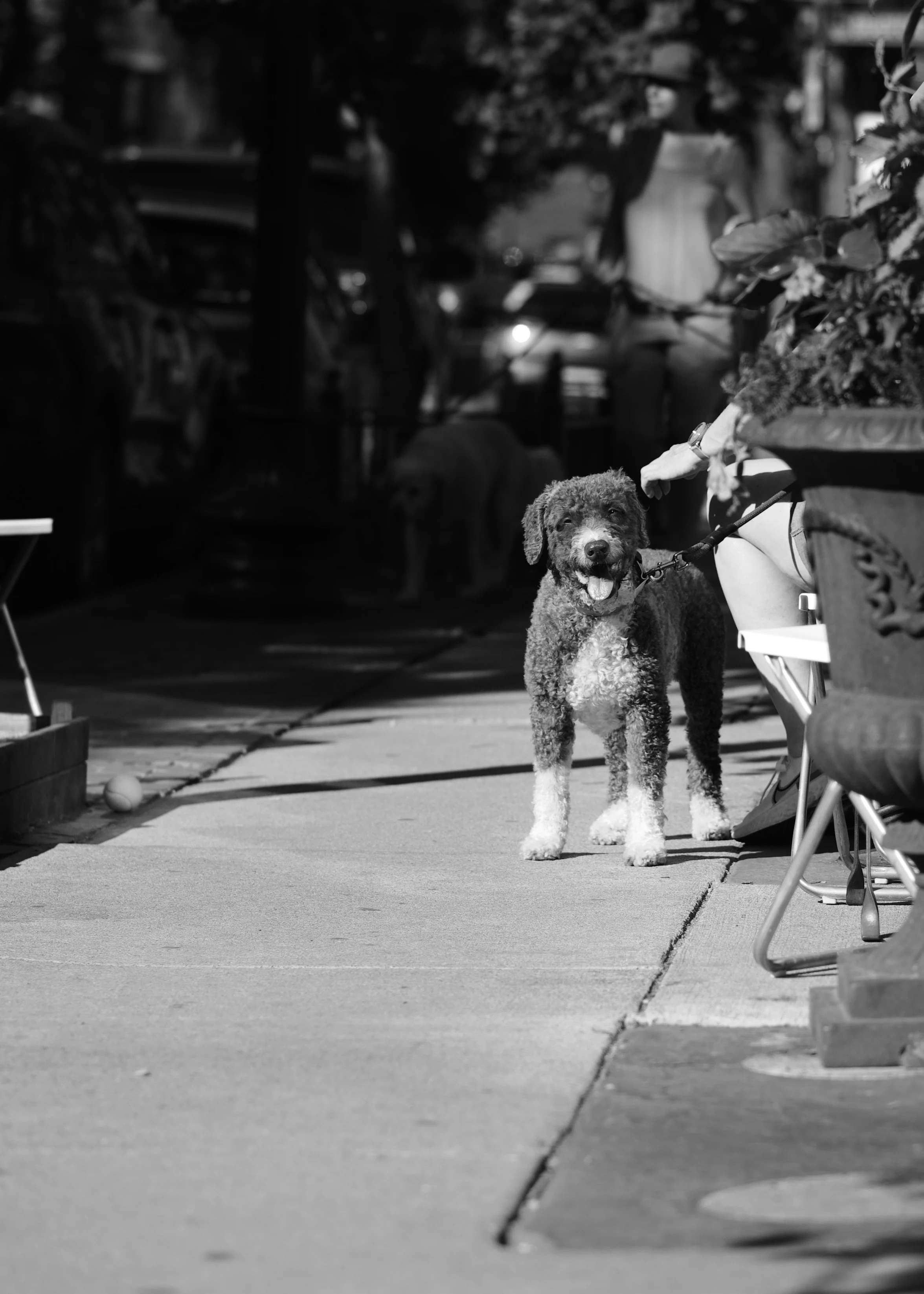 DSC_6962.jpeg