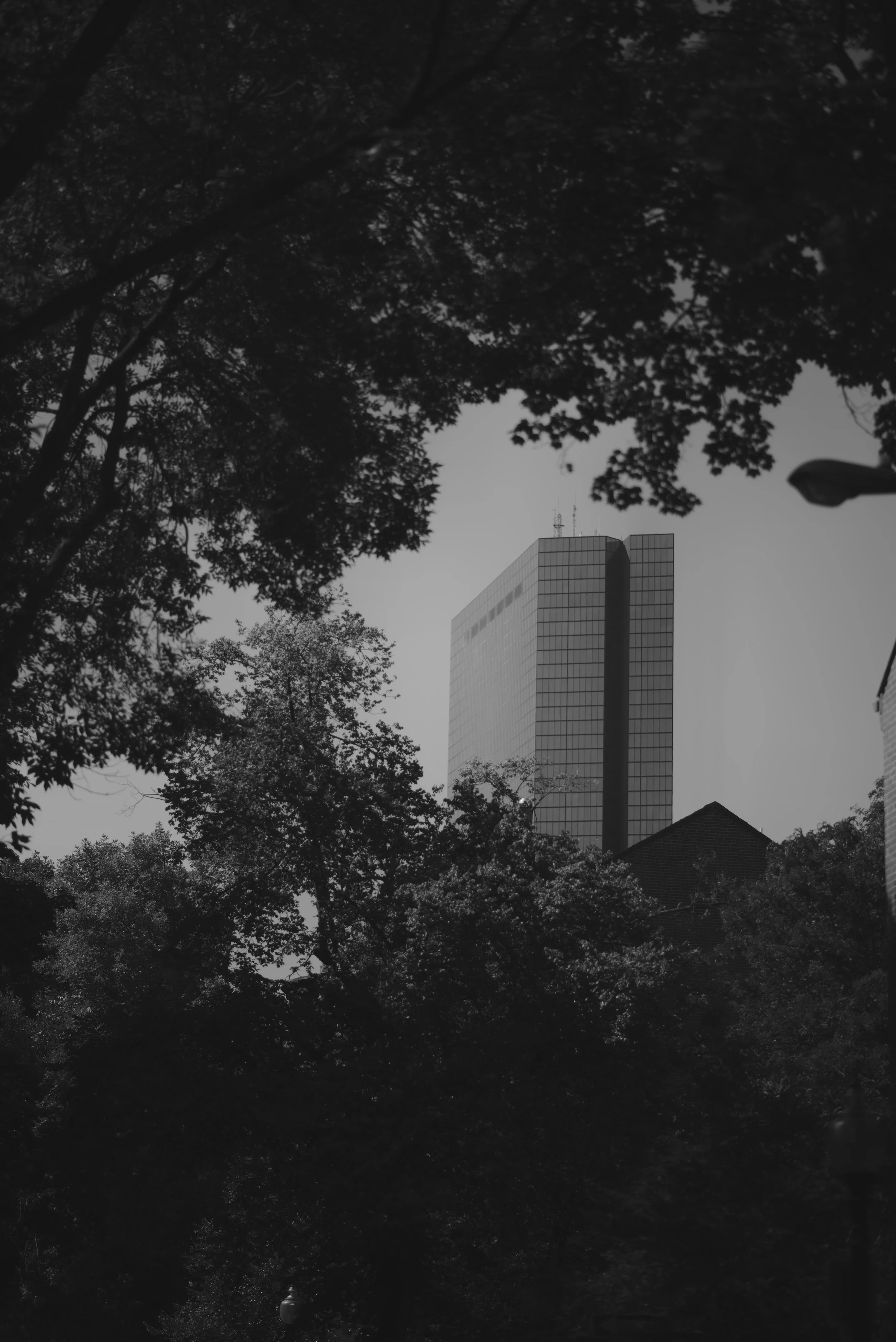 DSC_6718.jpeg