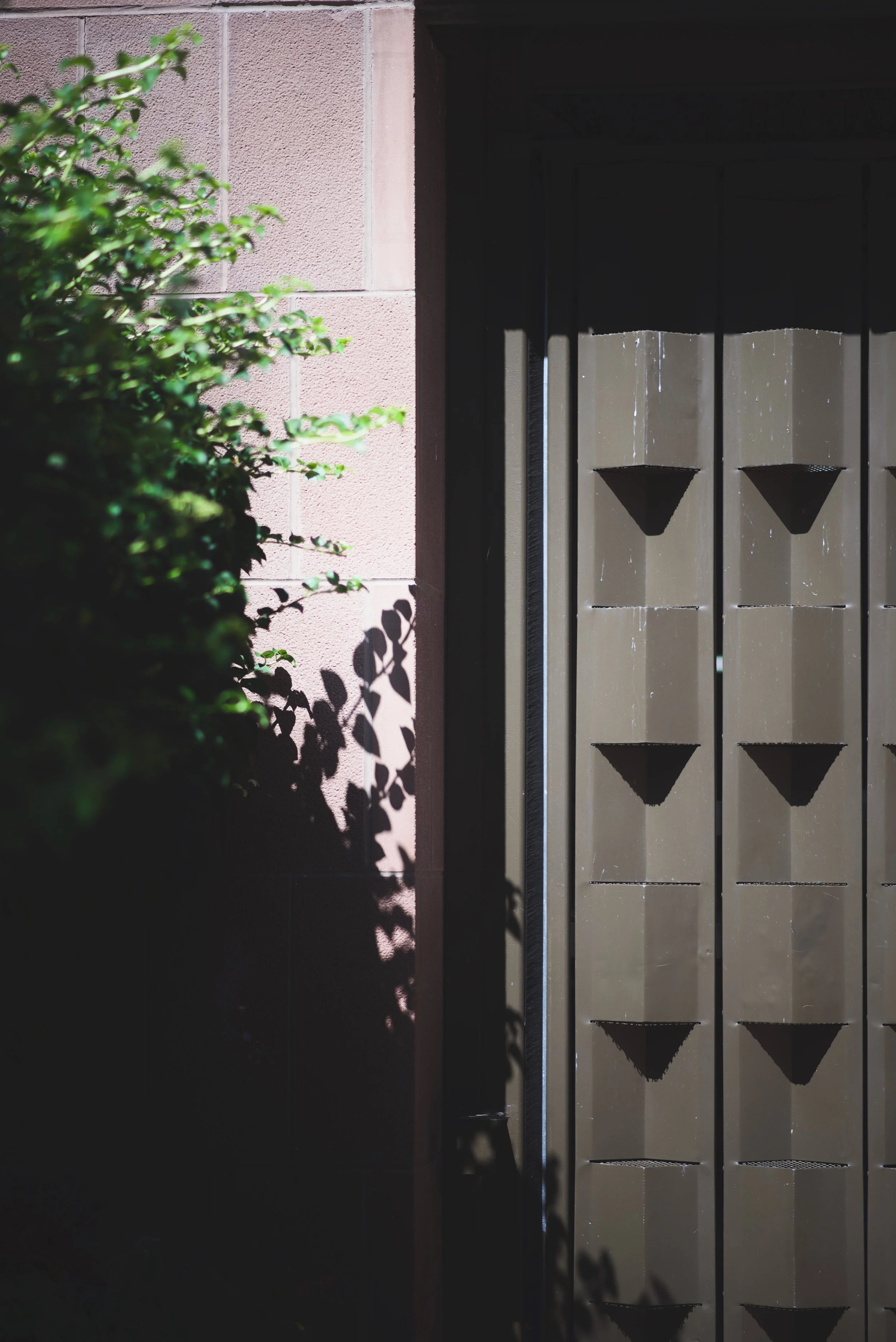 DSC_6650.jpeg